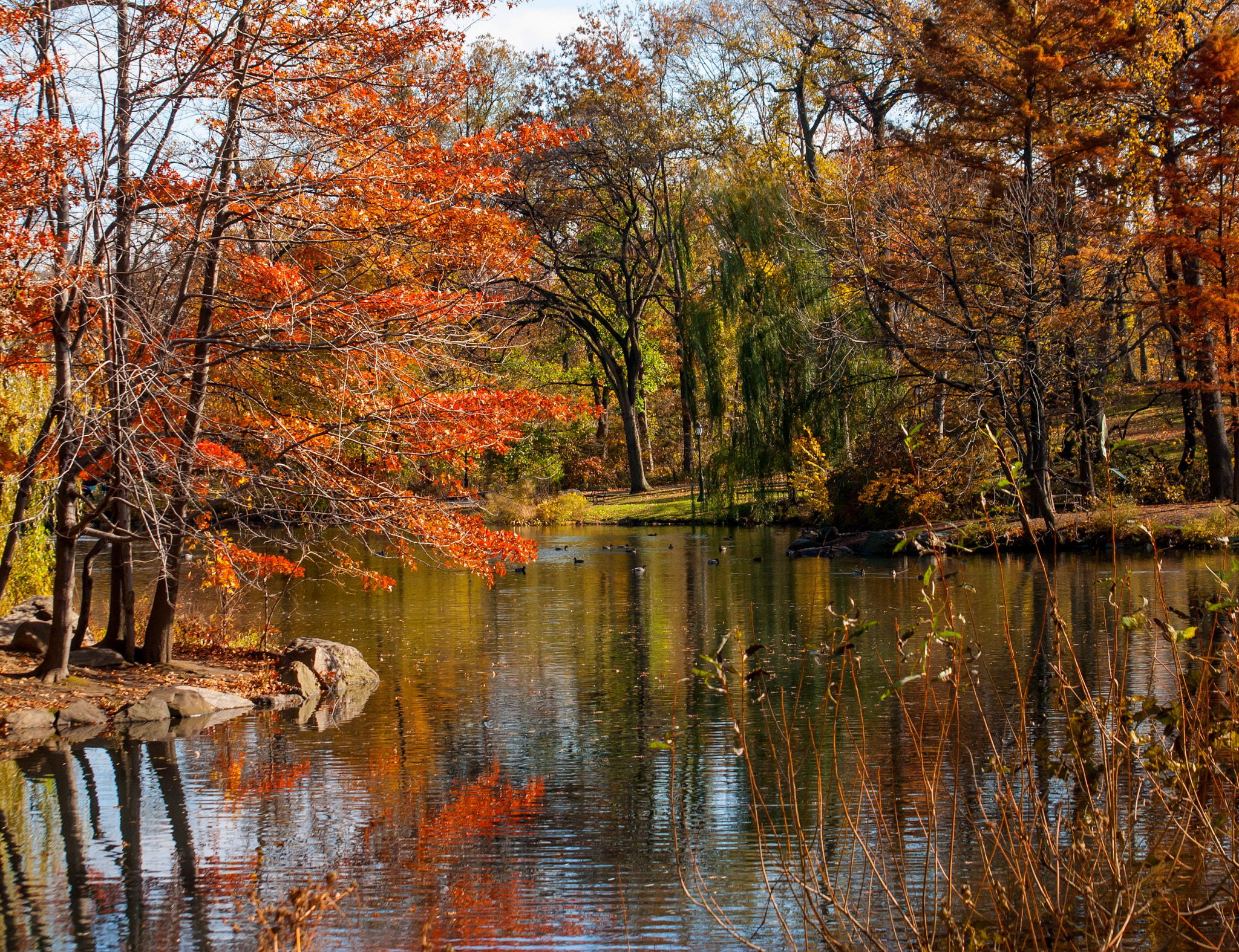 Nikon D200 sample photo. Central park.103st photography