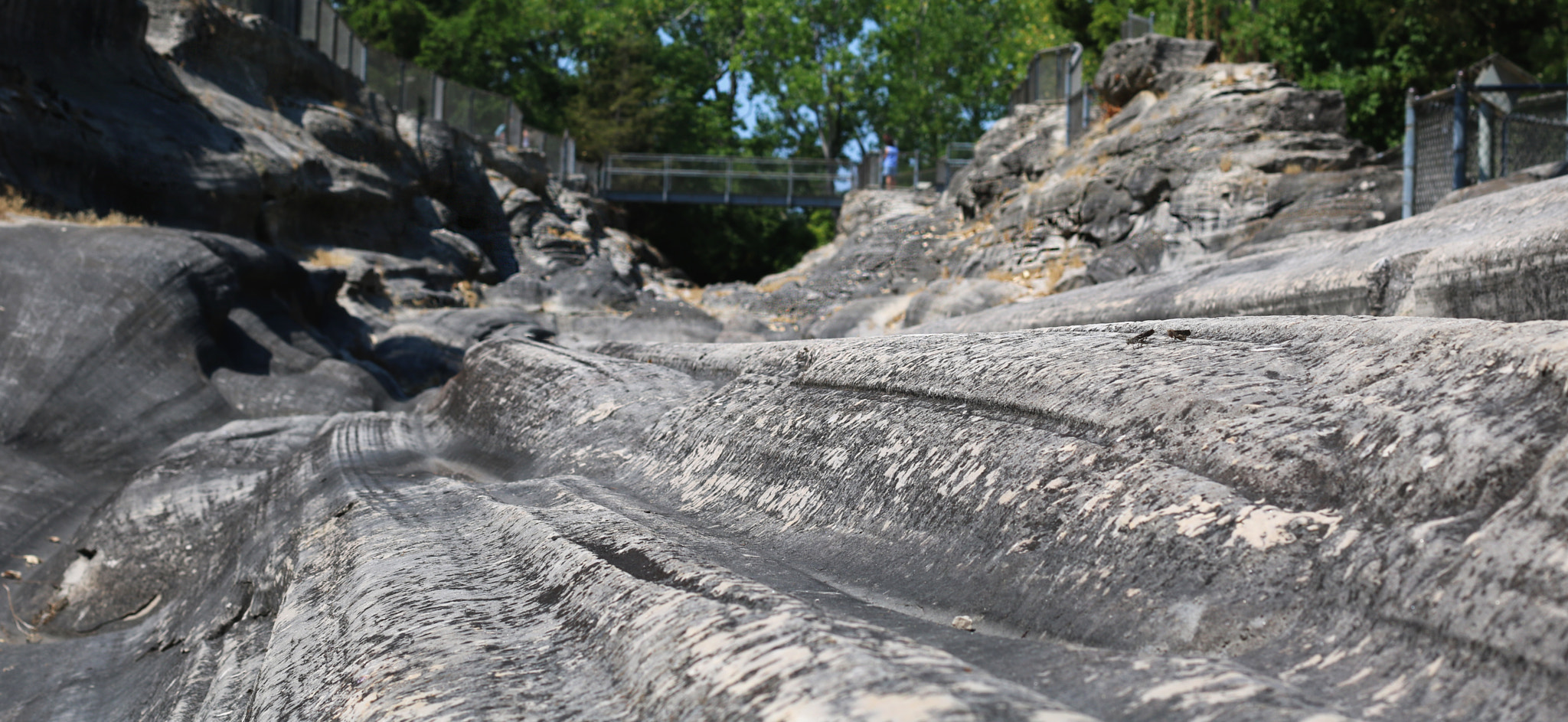 Canon EOS 750D (EOS Rebel T6i / EOS Kiss X8i) sample photo. Glaciergrooves photography