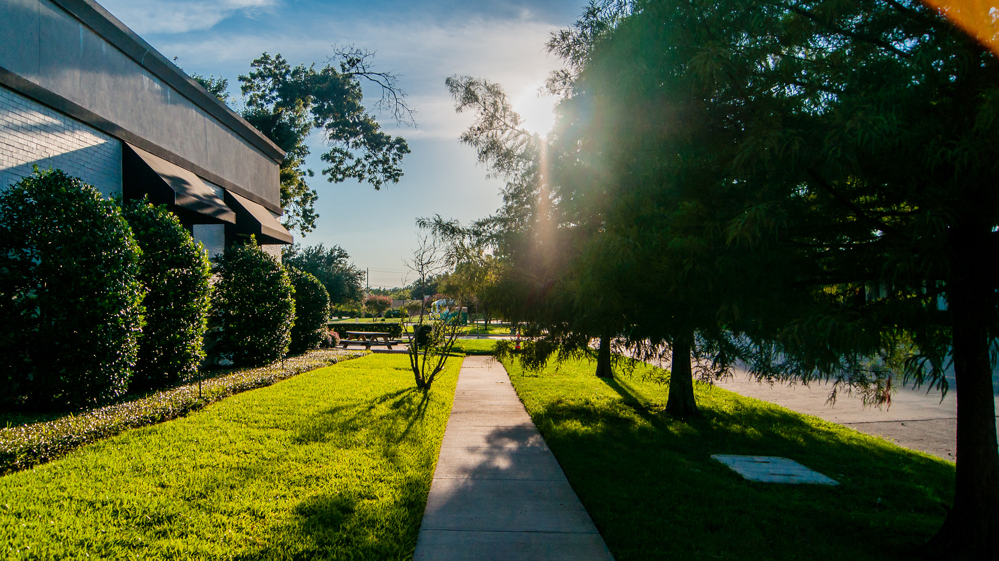 Sony Alpha DSLR-A700 + Sony DT 18-55mm F3.5-5.6 SAM sample photo. Autumn one day photography