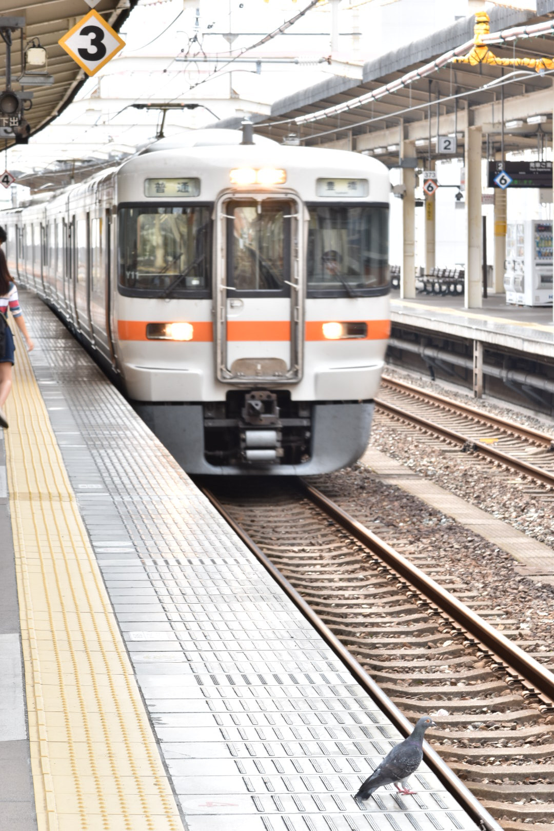 Nikon AF-S DX Micro-Nikkor 85mm F3.5G ED VR sample photo. This dove is waitting the slow train...  photography