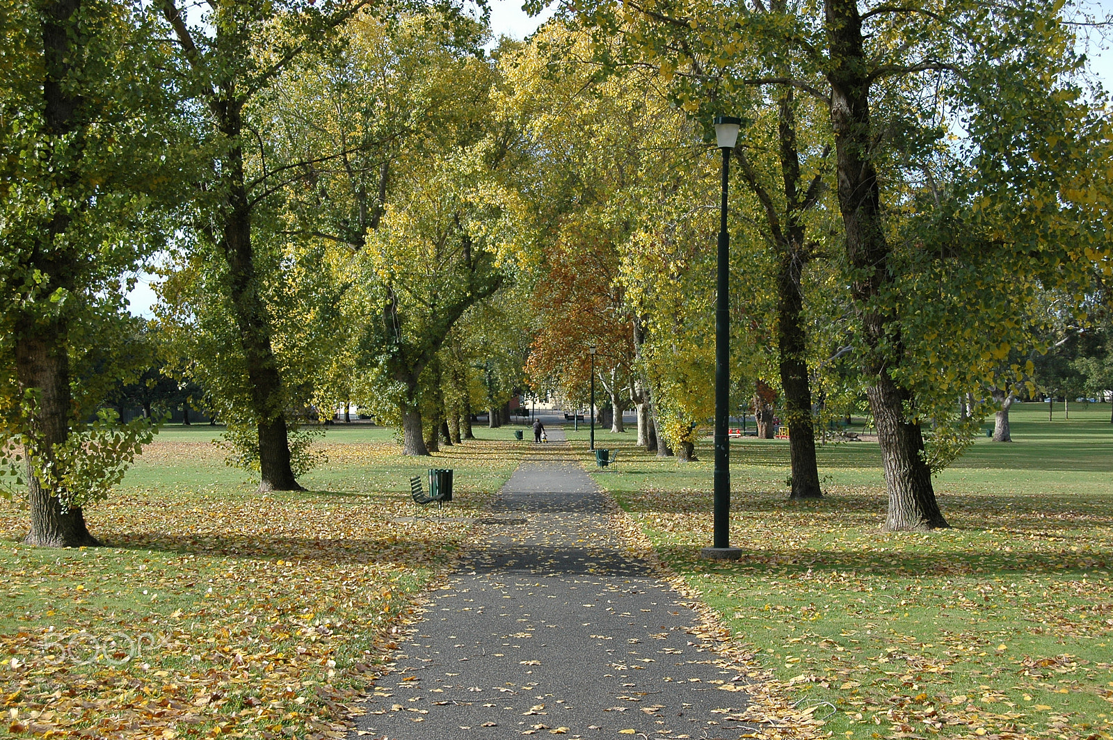Nikon D70s sample photo. Autumn in melbourne photography
