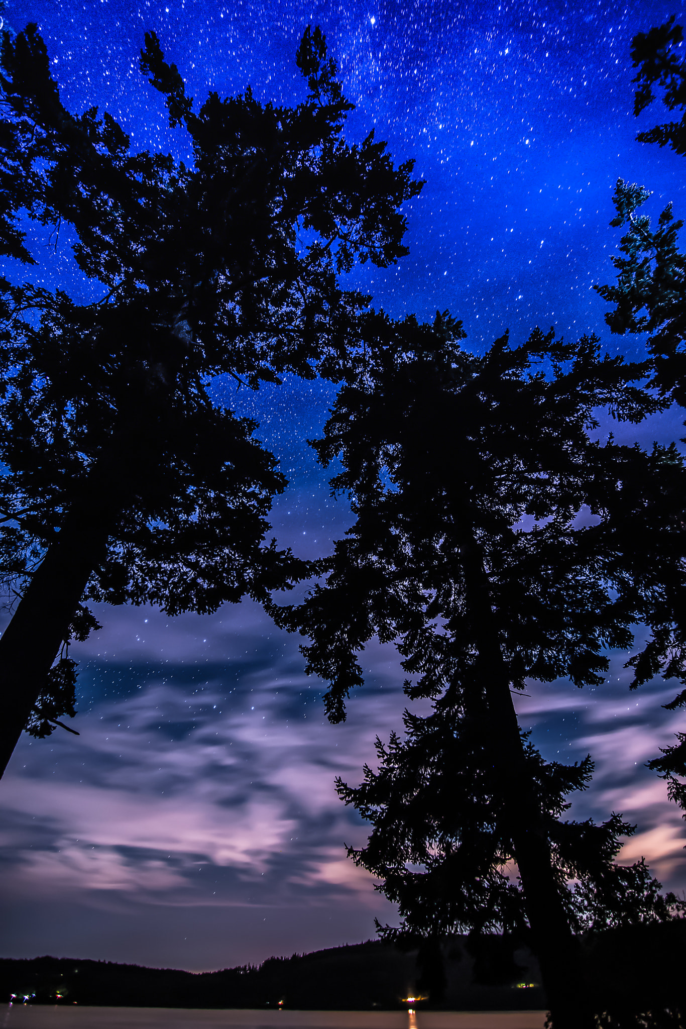 11-16mm F2.8 G sample photo. Arbor lights photography