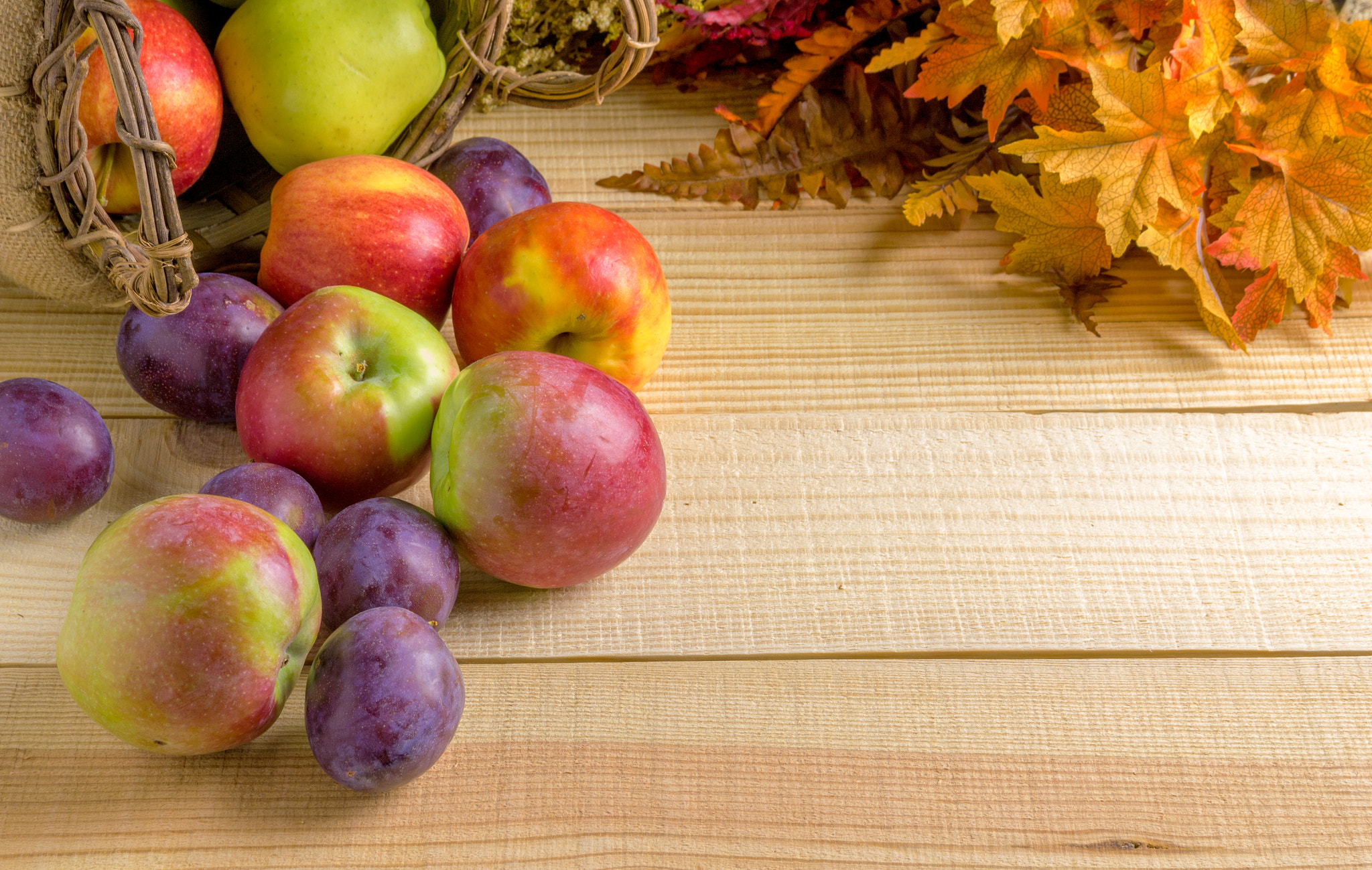 Sigma 18-50mm f/2.8 Macro sample photo. Autumn photography