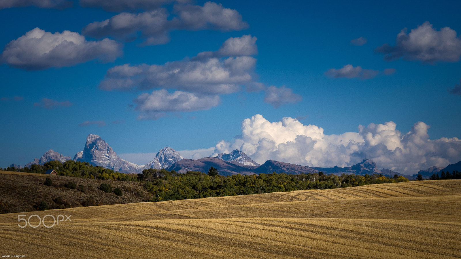Olympus OM-D E-M1 sample photo. Clouds ii photography
