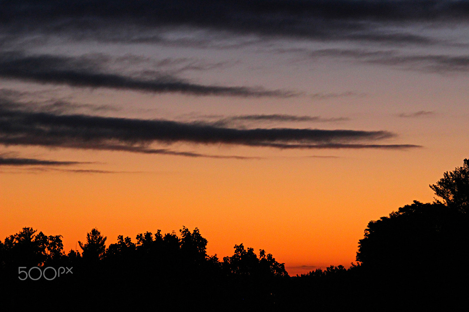 55.0 - 250.0 mm sample photo. Early morning crimson red.. photography