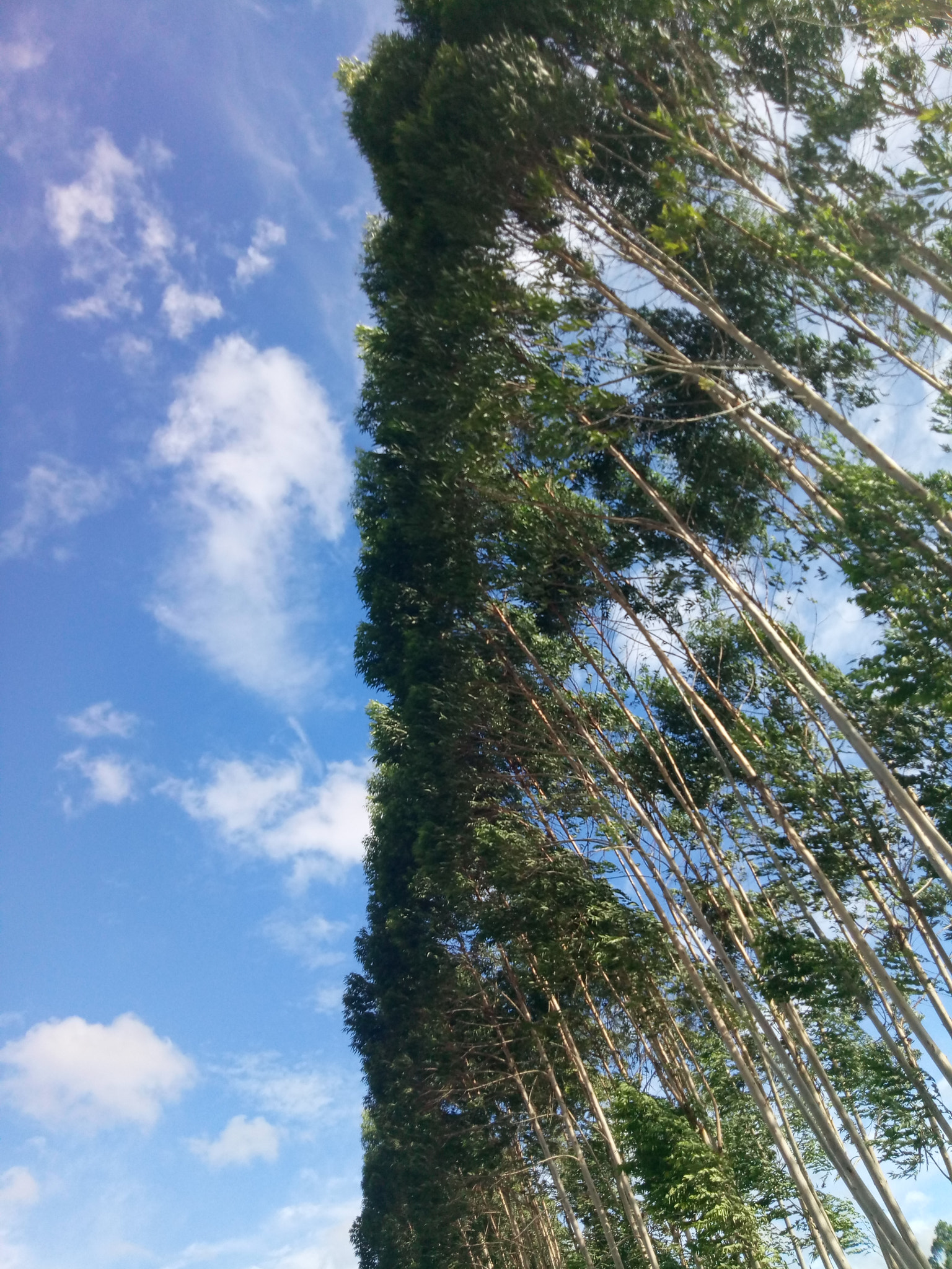 Meizu M1 E sample photo