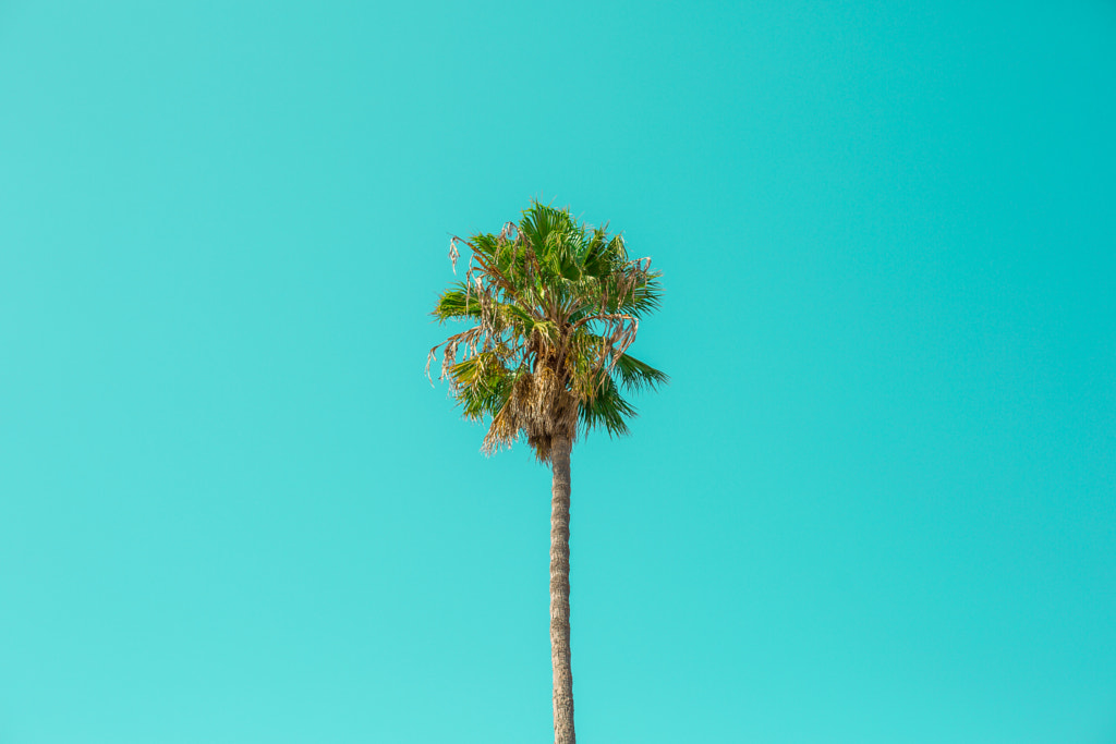 LA, times . by Joshua Cortes on 500px.com