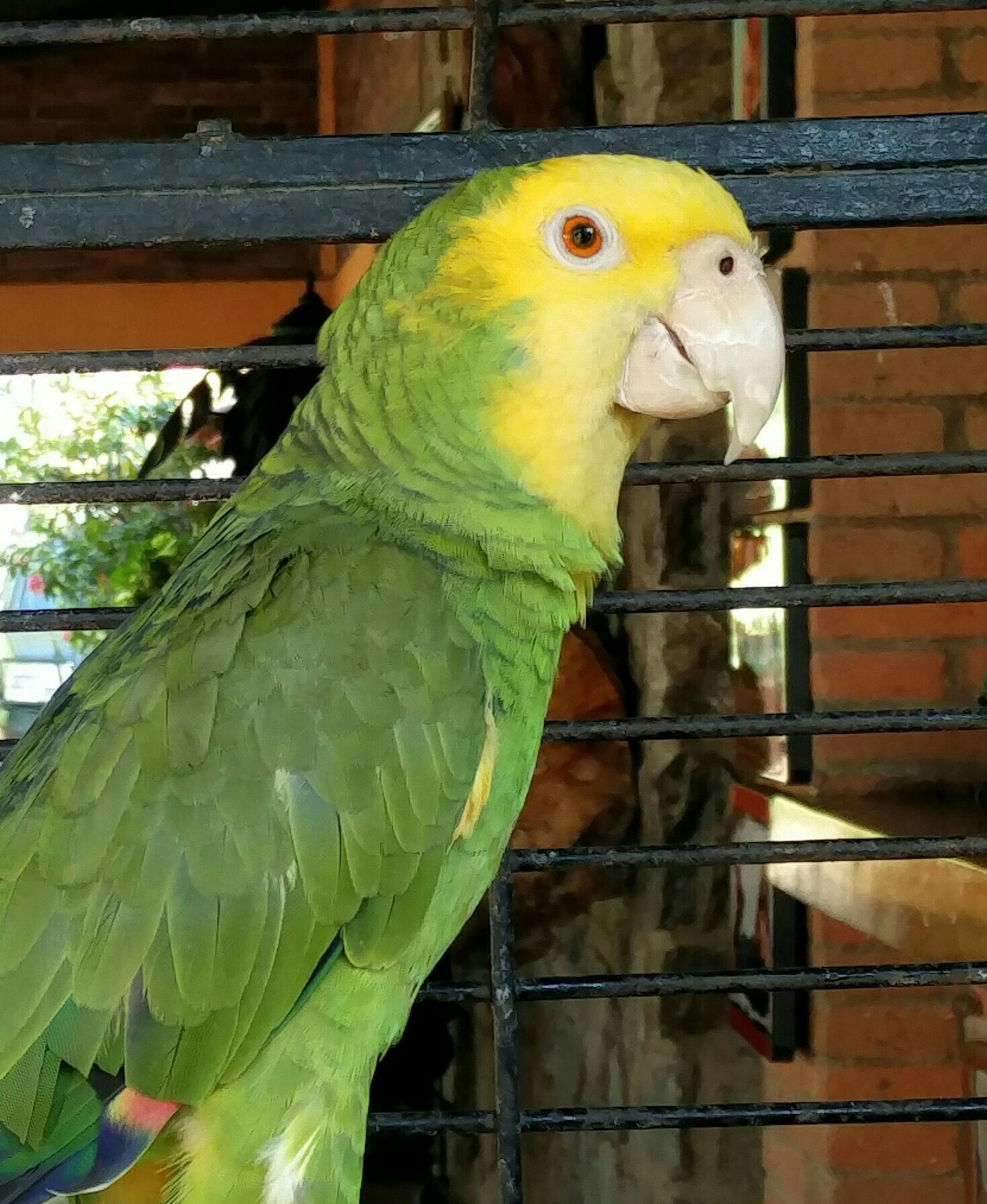 OnePlus ONE A2005 sample photo