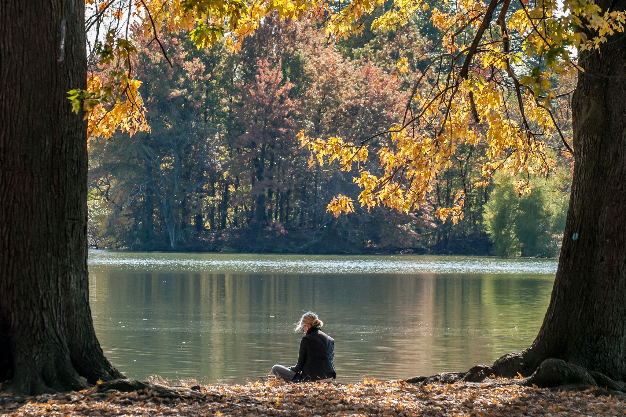 Nikon D200 sample photo. Prospect park photography