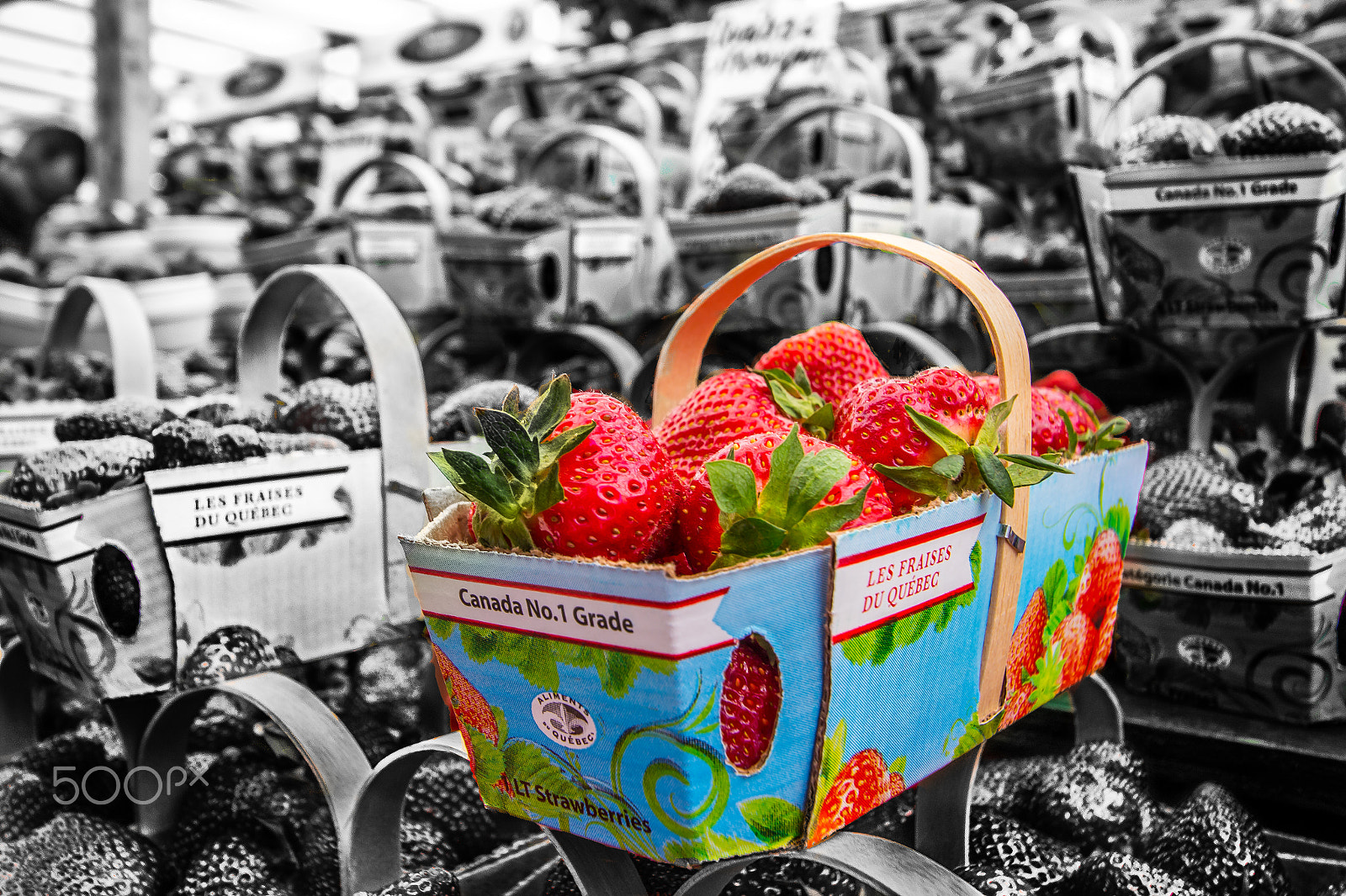 Canon EF-S 10-22mm F3.5-4.5 USM sample photo. Fruit basket photography