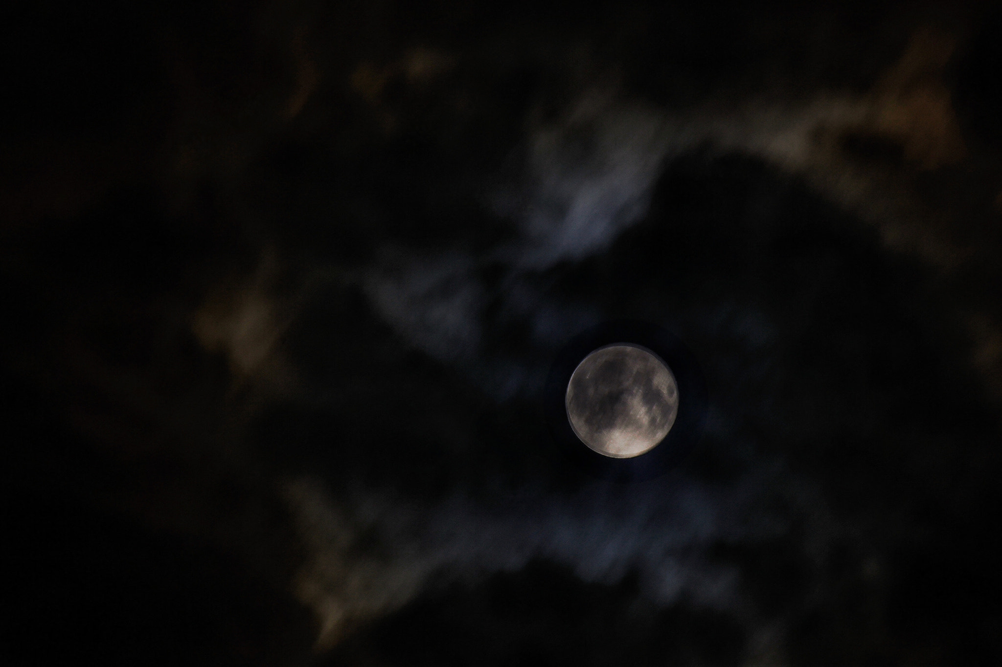Canon EF-S 55-250mm F4-5.6 IS II sample photo. Bark at the moon photography