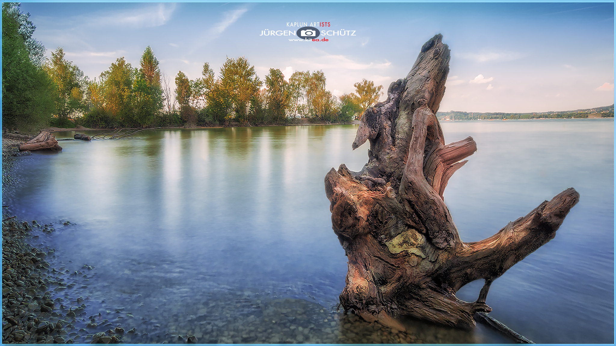 Sony ILCA-77M2 sample photo. The roots of the lake photography