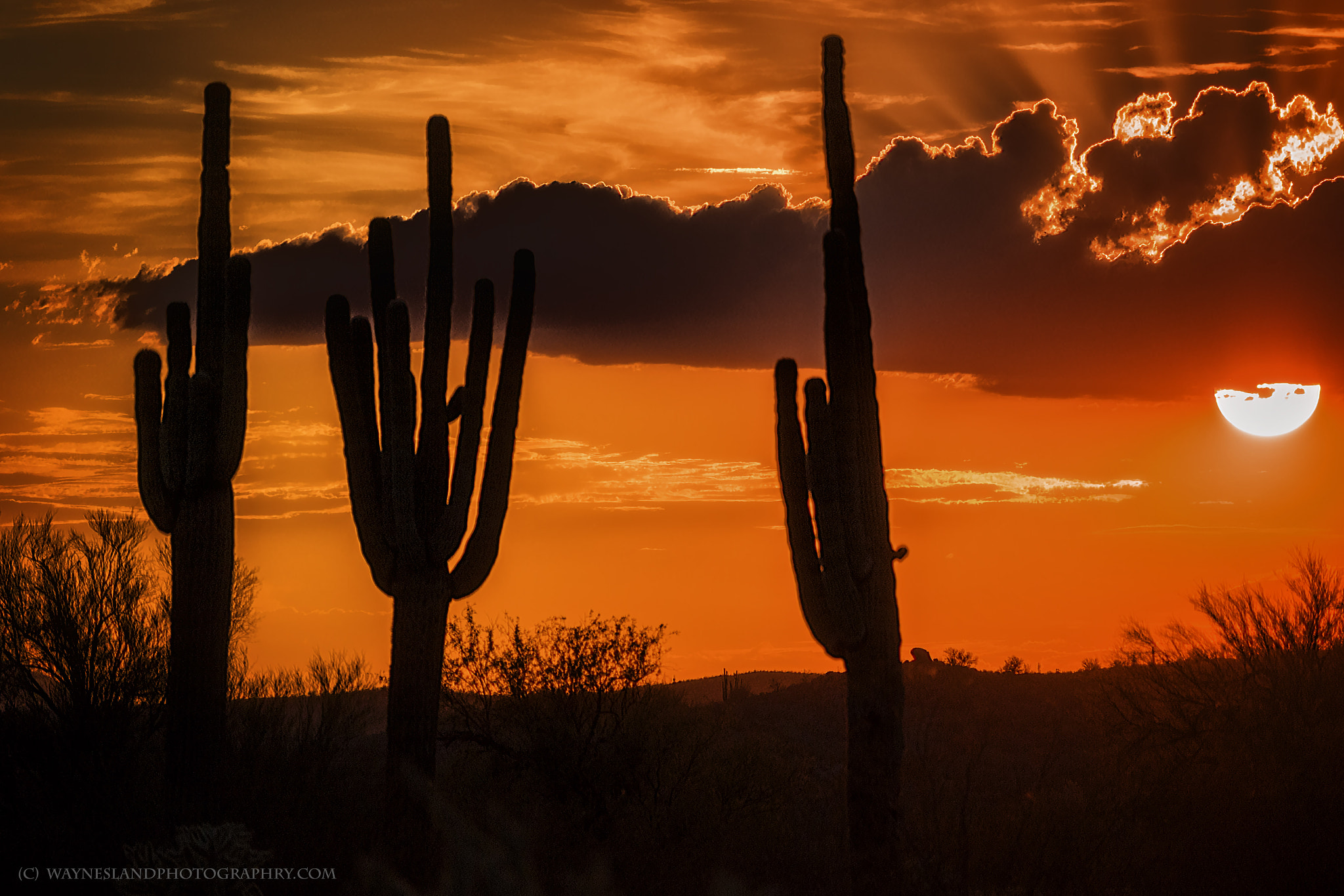 Canon EOS 7D Mark II + Canon EF-S 55-250mm F4-5.6 IS STM sample photo. Salt river sunset photography