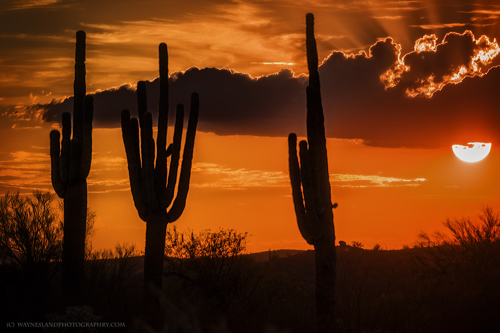 Canon EF-S 55-250mm F4-5.6 IS STM sample photo. Salt river sunset photography
