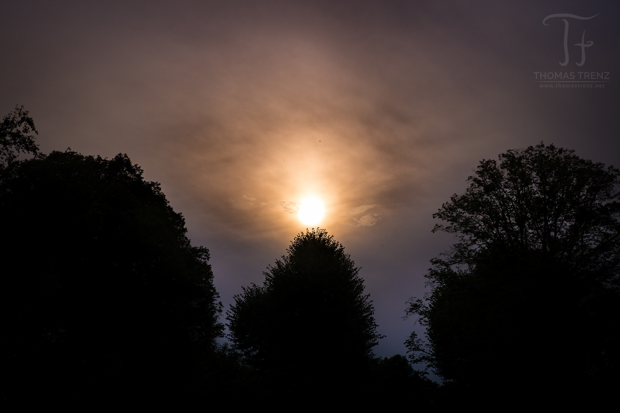 Nikon D600 sample photo. Late dust sun photography