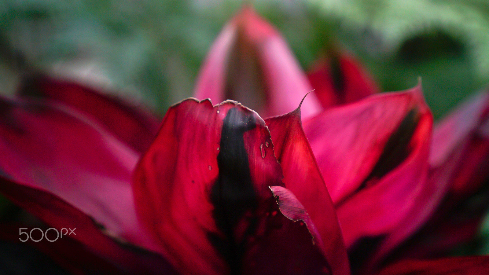 Sony a7S II + Sony FE 24-70mm F2.8 GM sample photo. When your heart's in somebody else's hands photography