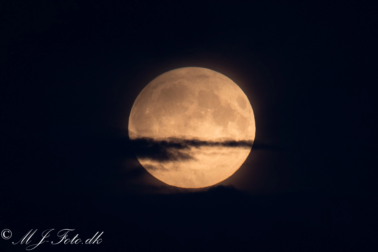 Sigma 150-600mm F5-6.3 DG OS HSM | C sample photo. Donna luna photography