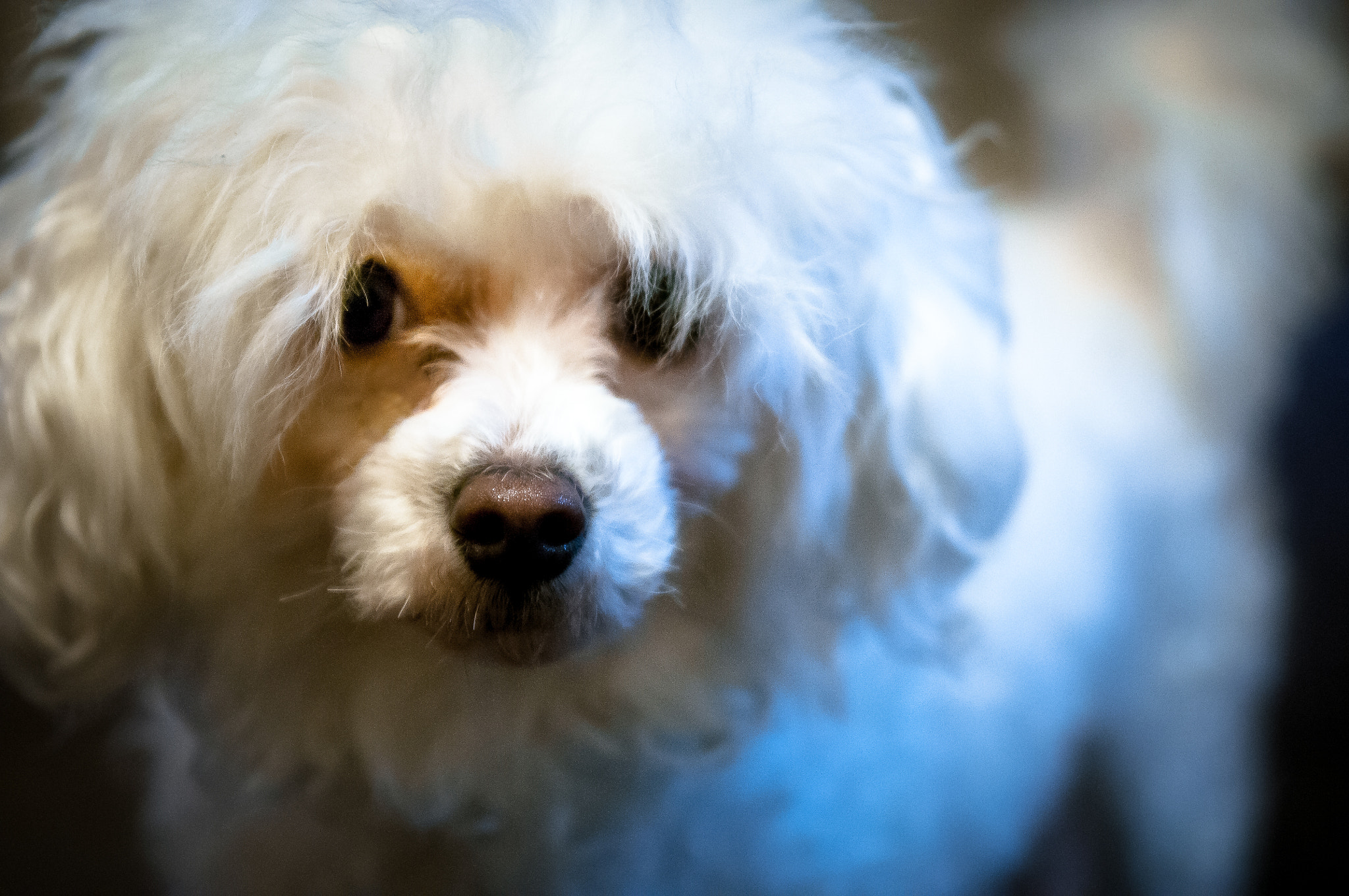 Sigma 24-70mm F2.8 EX DG HSM sample photo. Yami photography