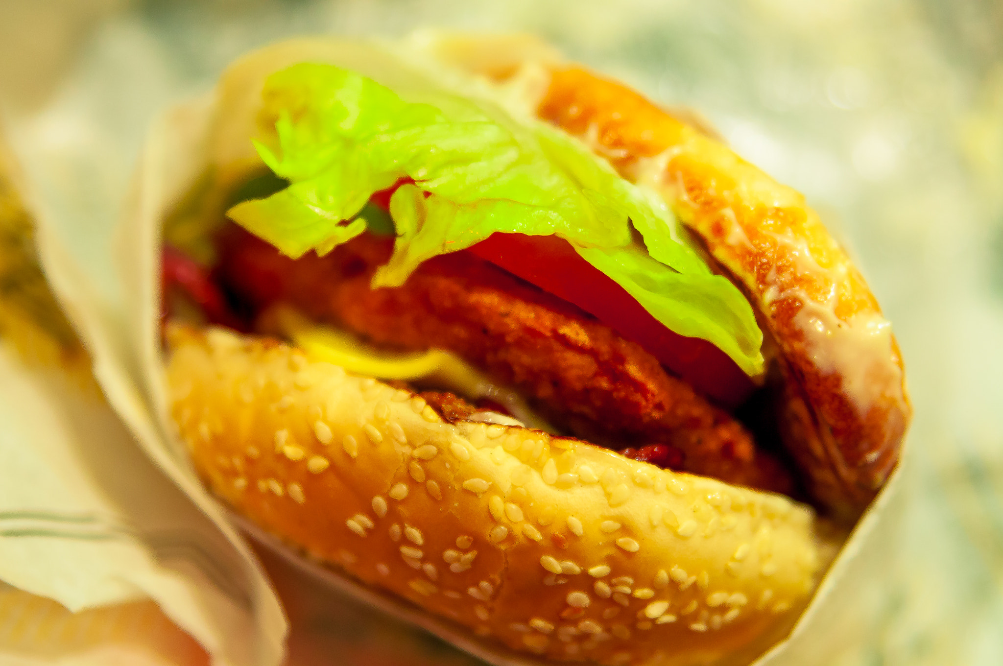 Sigma 24-70mm F2.8 EX DG HSM sample photo. Carl's jr alabama chicken photography