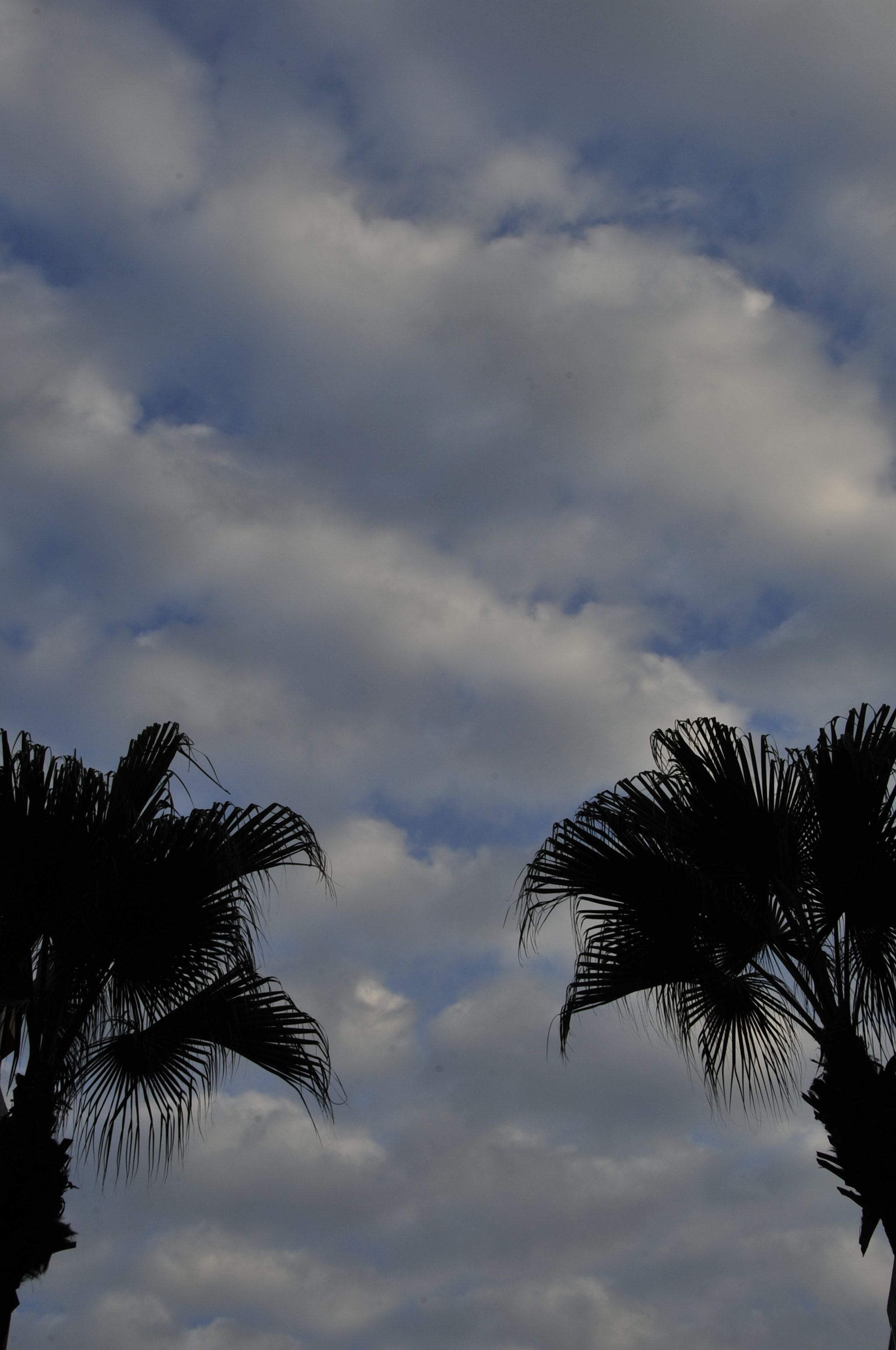 Nikon D3 sample photo. .. photography