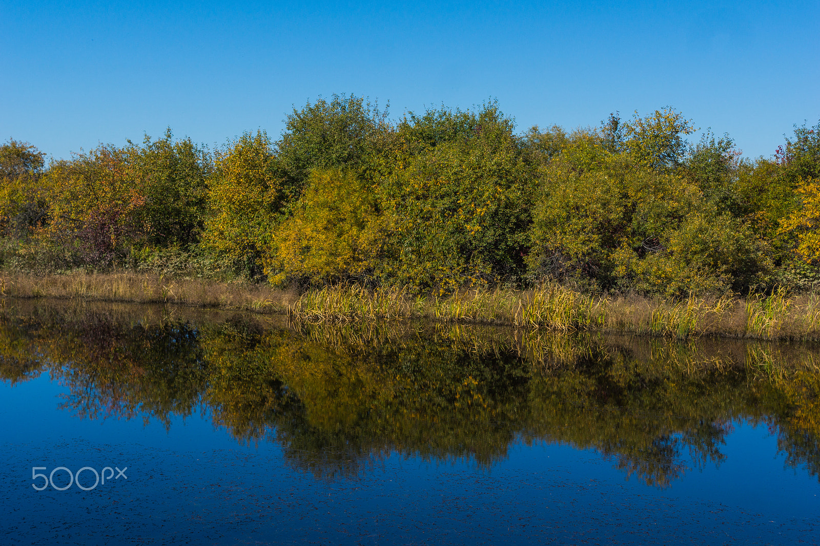 Sony SLT-A77 sample photo. Siberia #1 photography