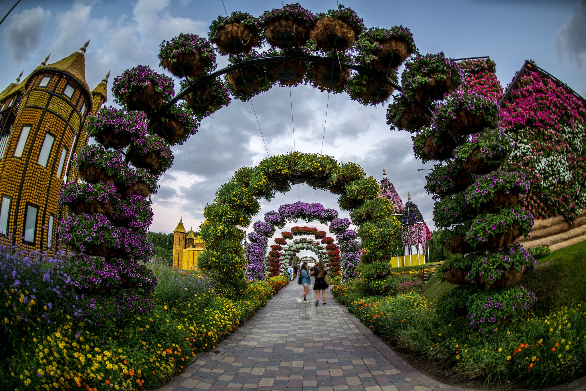 Nikon D810 + Nikon AF Fisheye-Nikkor 16mm F2.8D sample photo. My cam in dubai photography