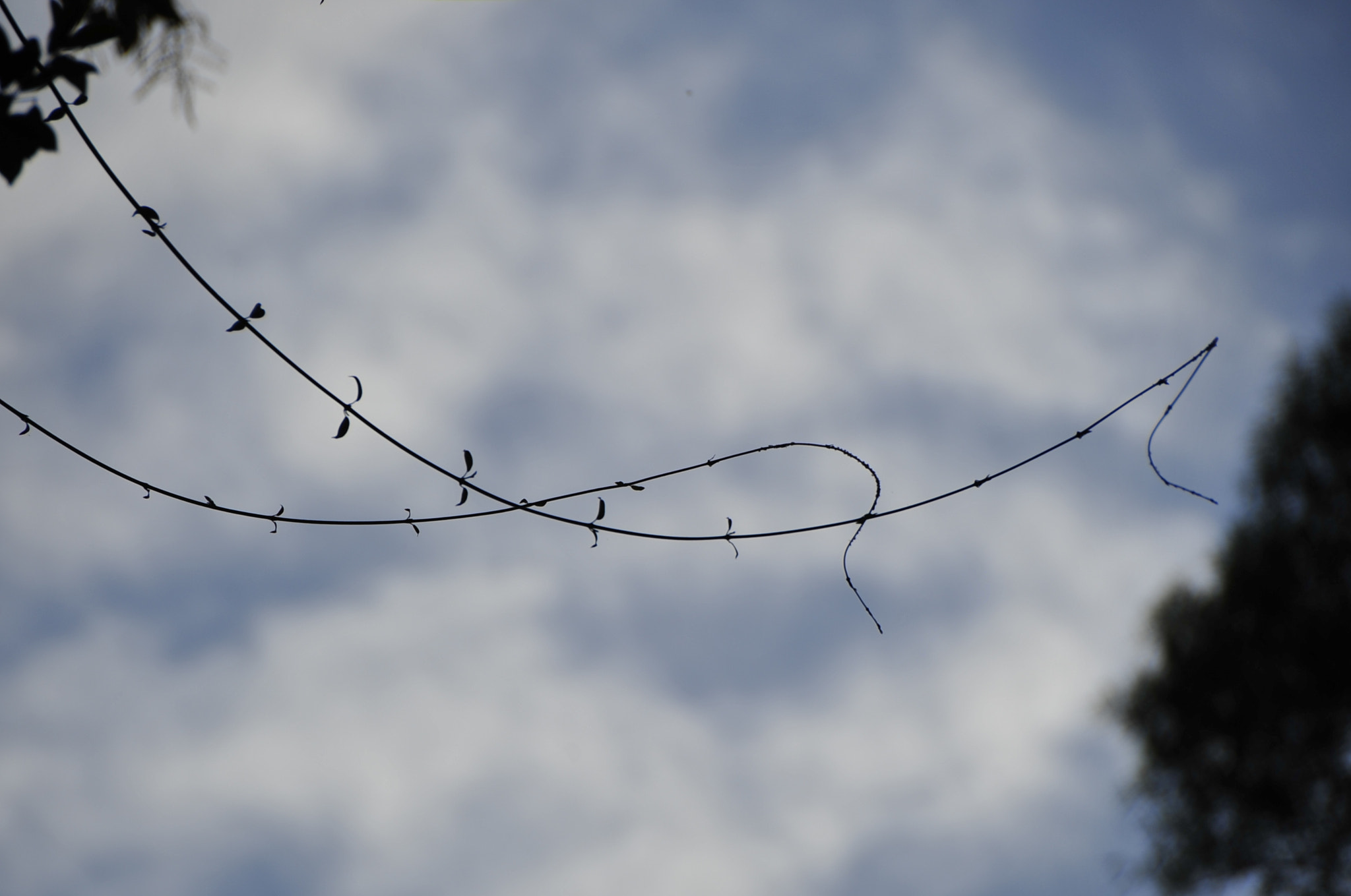 Nikon D3 sample photo. .. photography