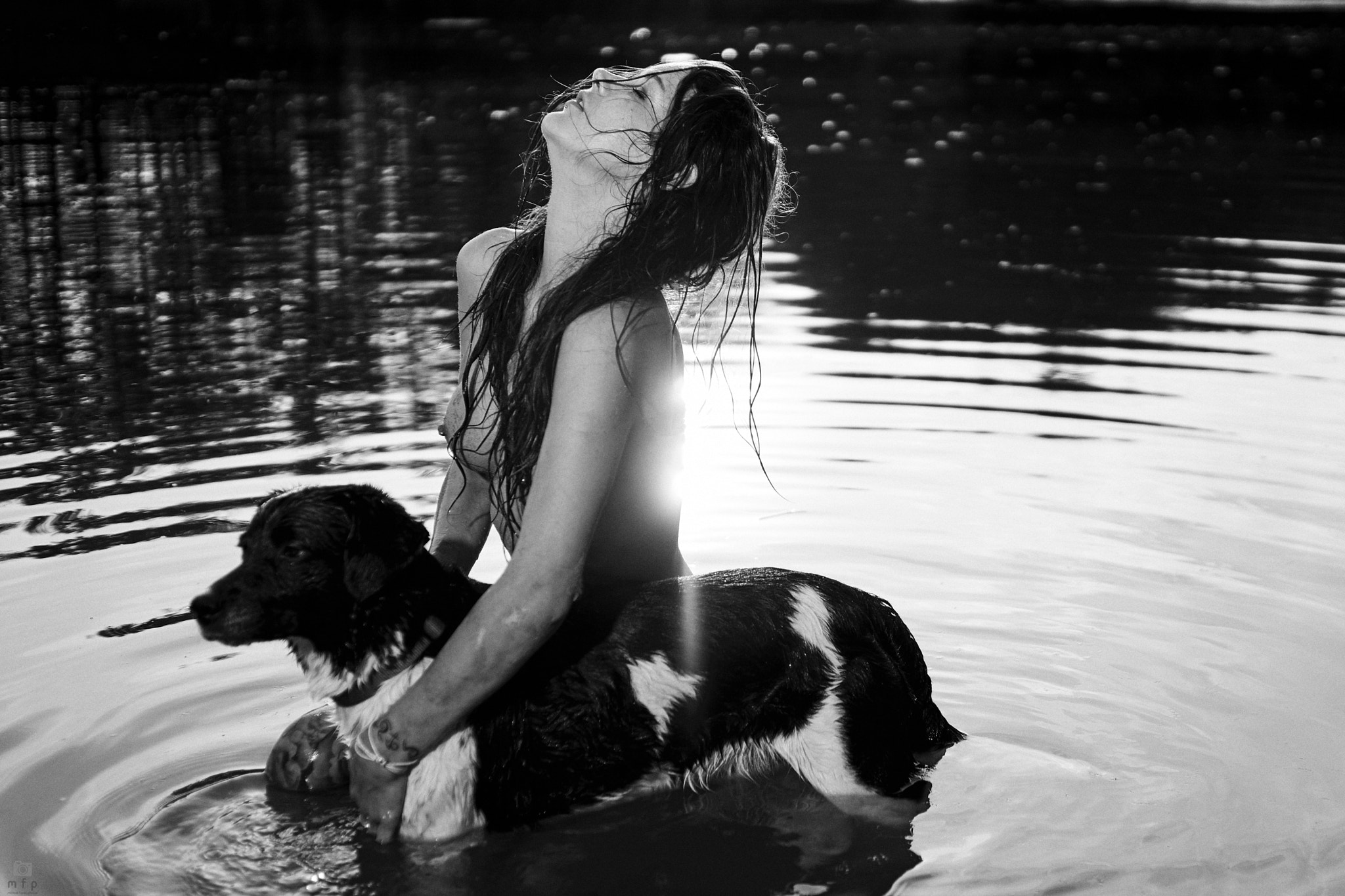 Sony ILCA-77M2 + Sony DT 35mm F1.8 SAM sample photo. Dog's love photography