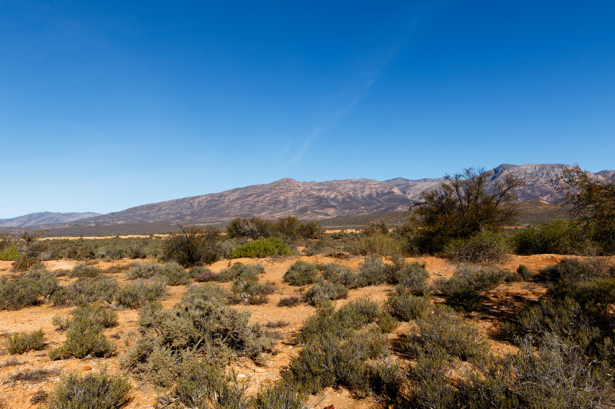 Canon EF 300mm f/2.8L sample photo. Dry landscape photography