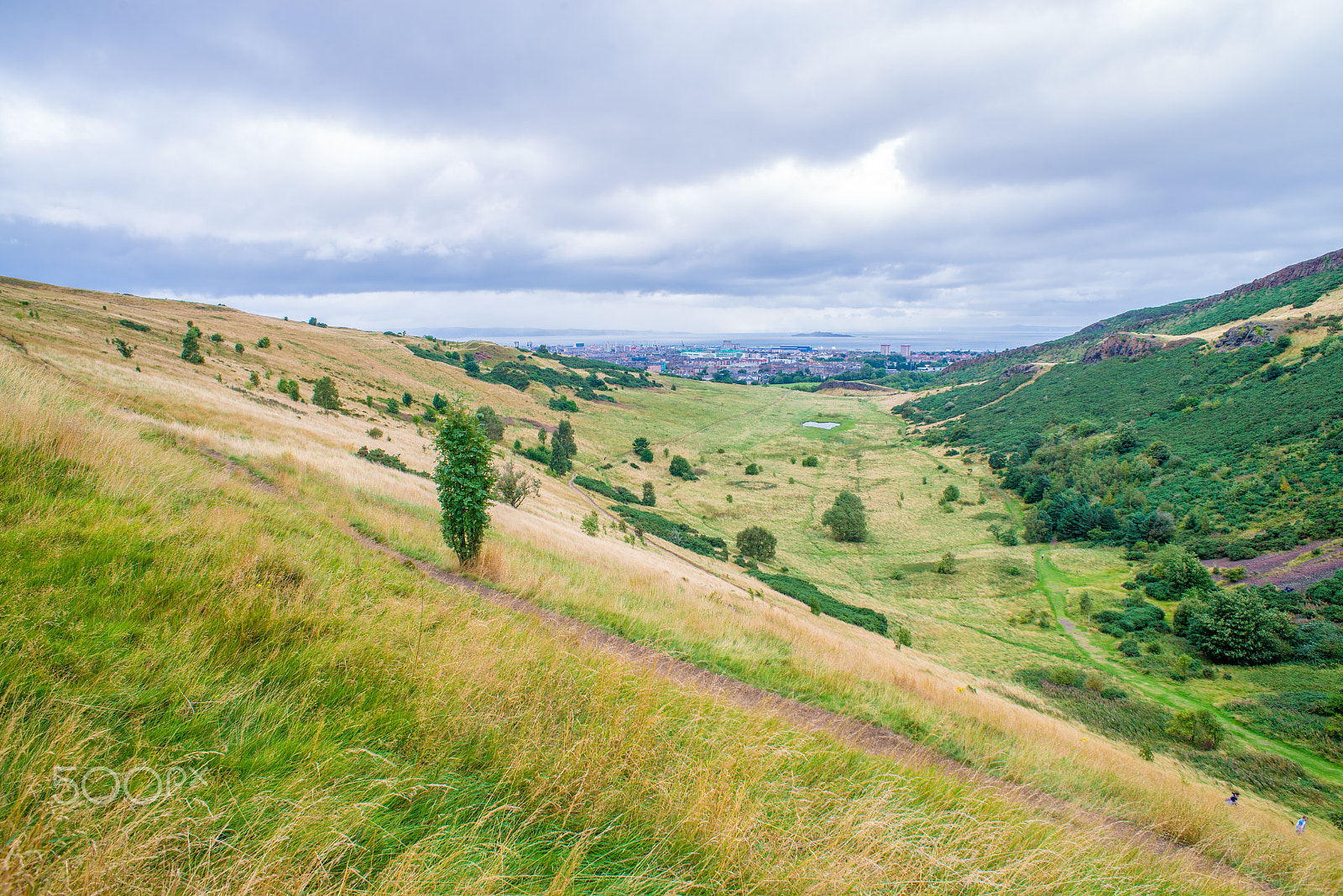 Nikon D600 + AF Nikkor 20mm f/2.8 sample photo. Hillside meadow in autumn photography