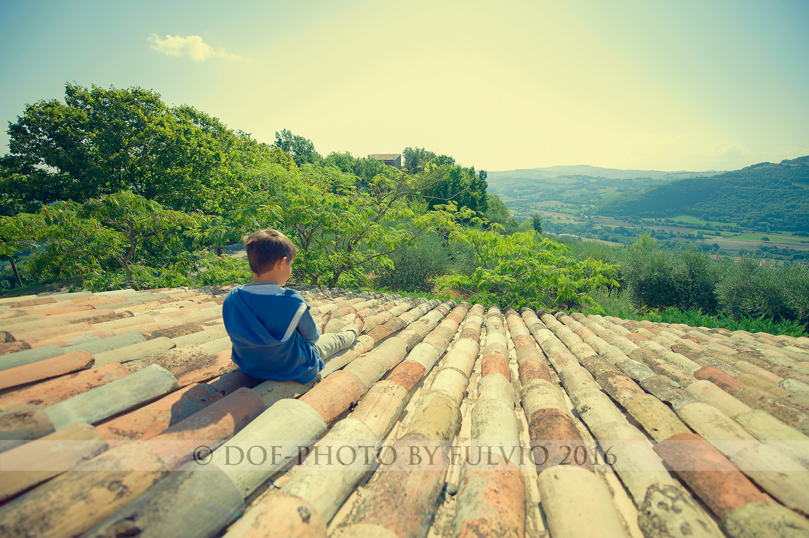 Nikon D3 sample photo. Pano from the roof photography