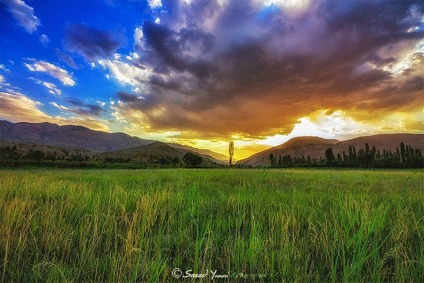 Sigma 8-16mm F4.5-5.6 DC HSM sample photo. Iran  photography