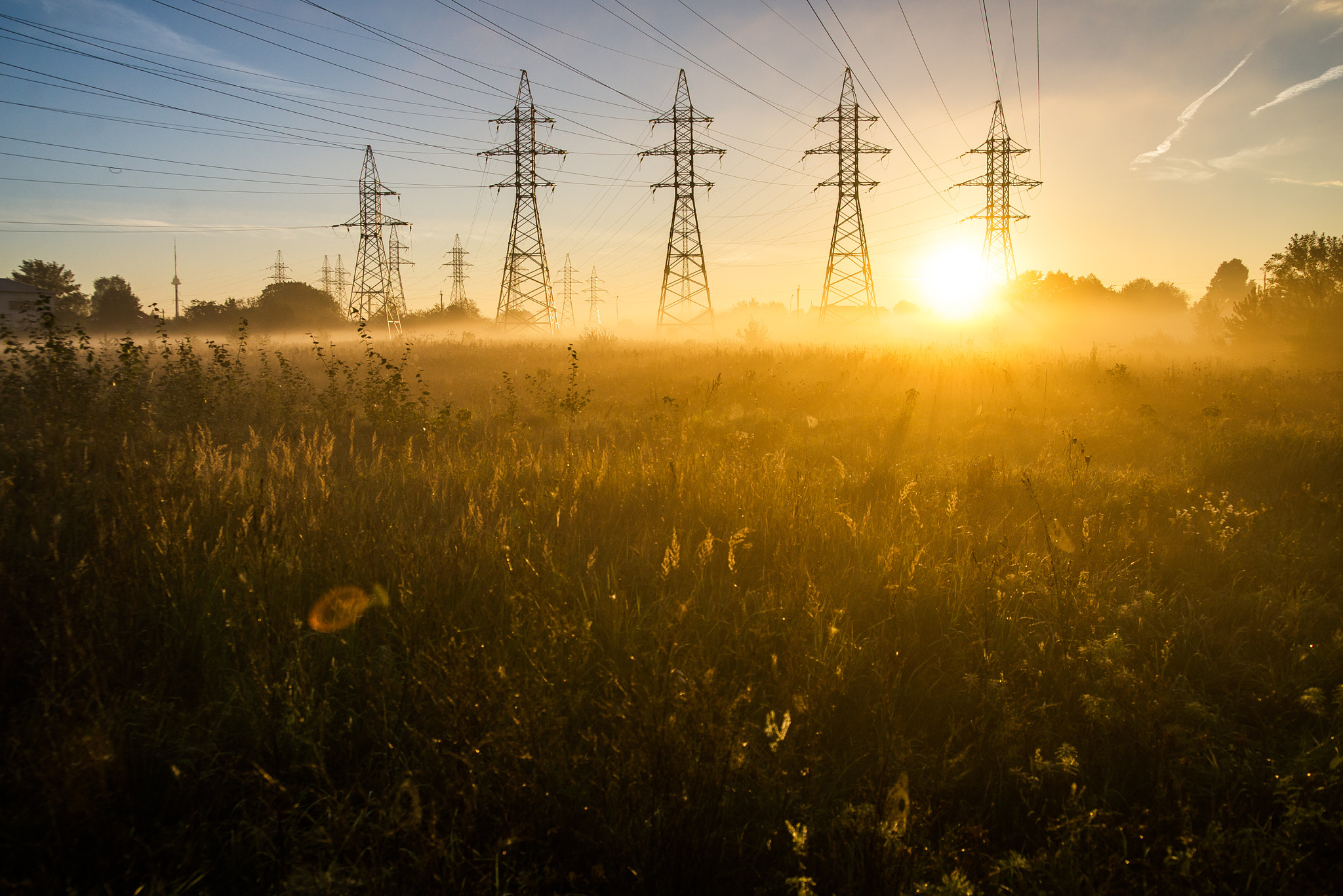 Nikon D600 sample photo. Morning energy photography