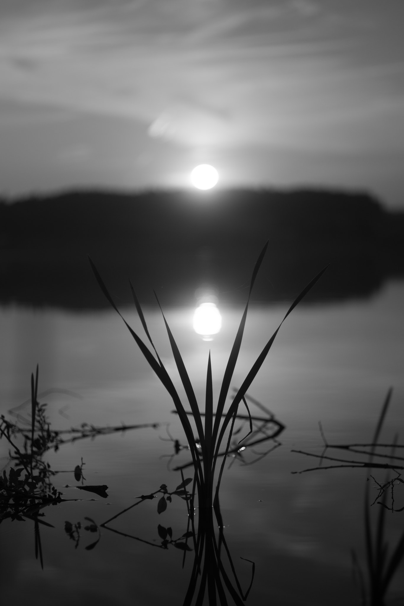 Pentax K-1 + Pentax smc FA 77mm 1.8 Limited sample photo. Still b&w photography
