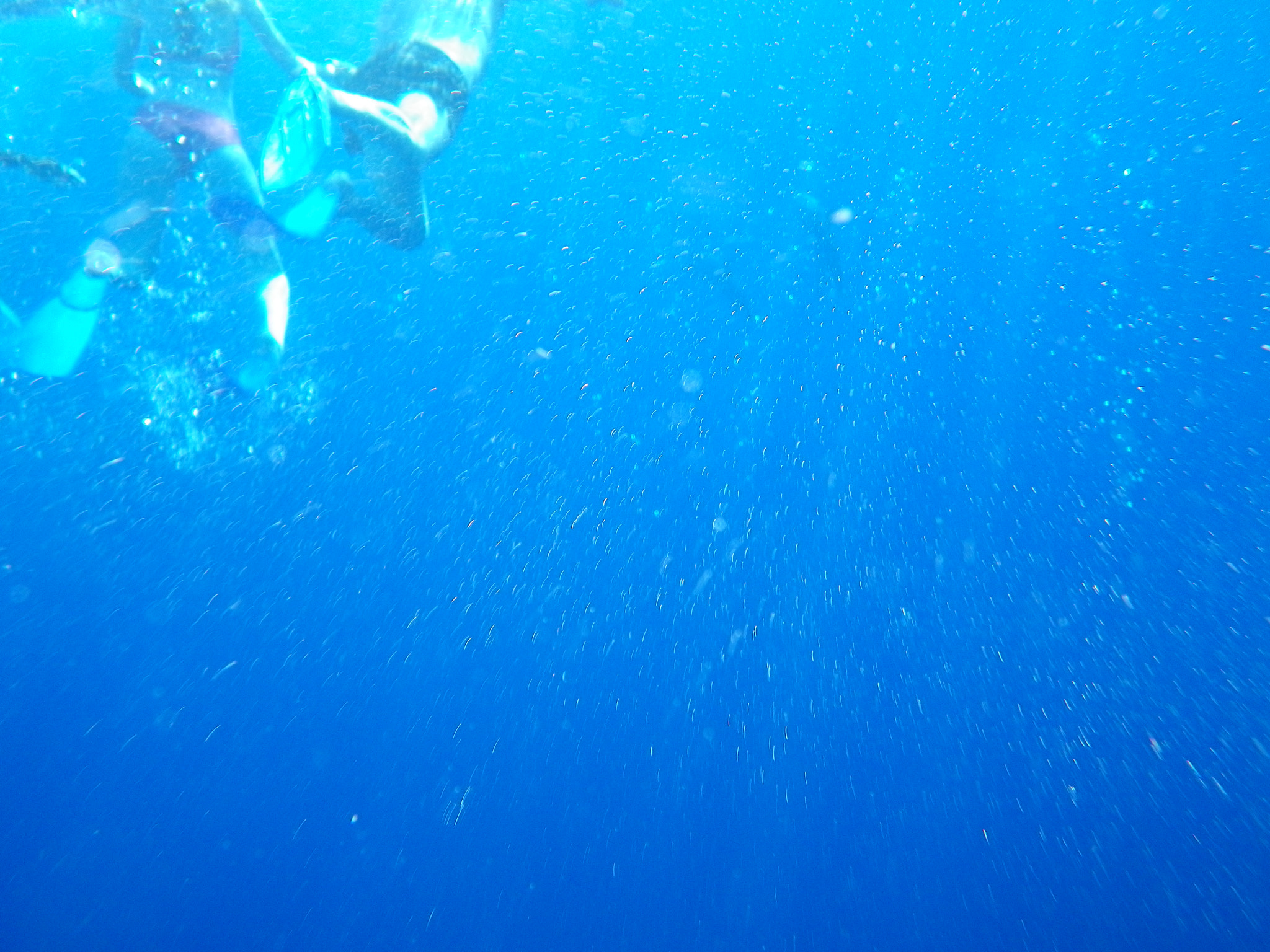 Pentax Optio W90 sample photo. Underwater  photography