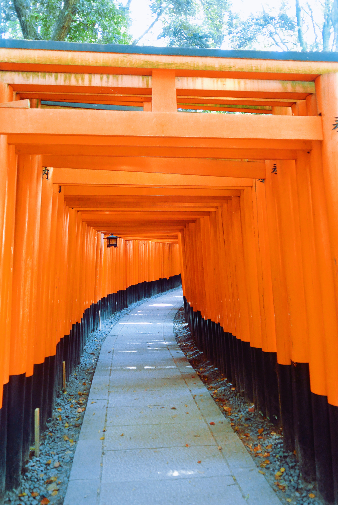 Nikon 1 S1 sample photo. Fushimi inari shrine photography