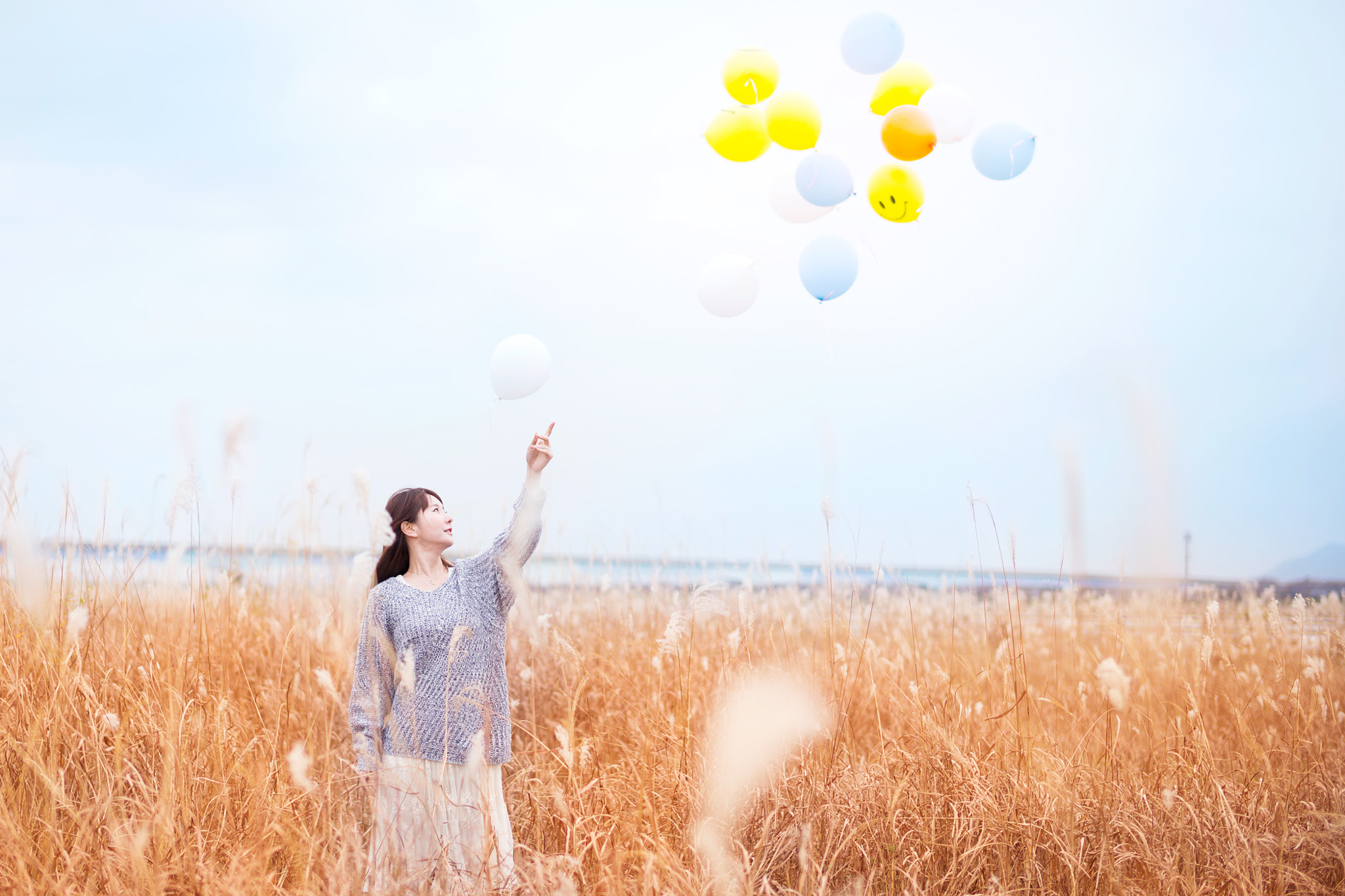 Sony Planar T* 50mm F1.4 ZA SSM sample photo. Reed photography