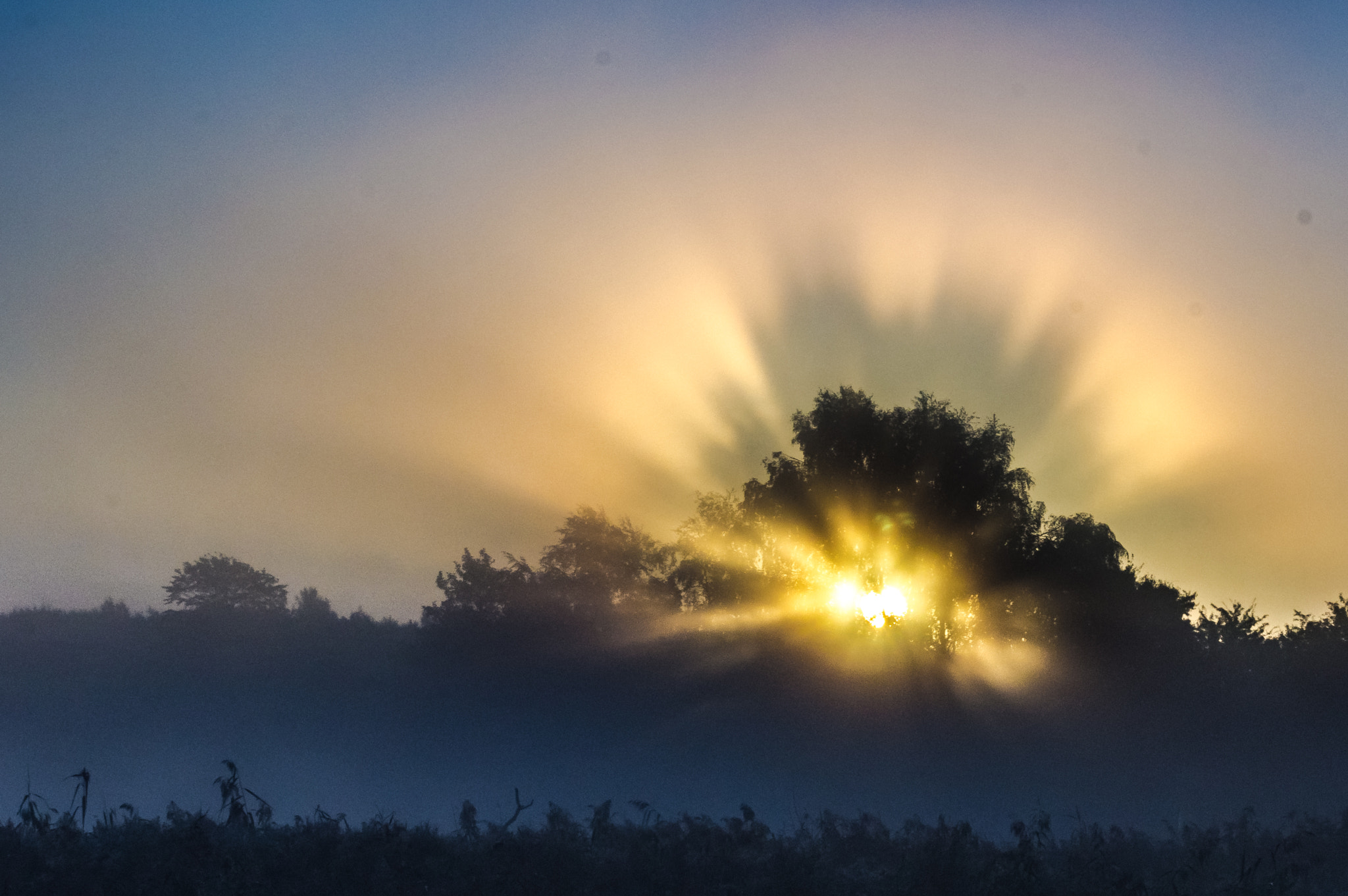 Sony SLT-A55 (SLT-A55V) sample photo. Exploding sun ii photography