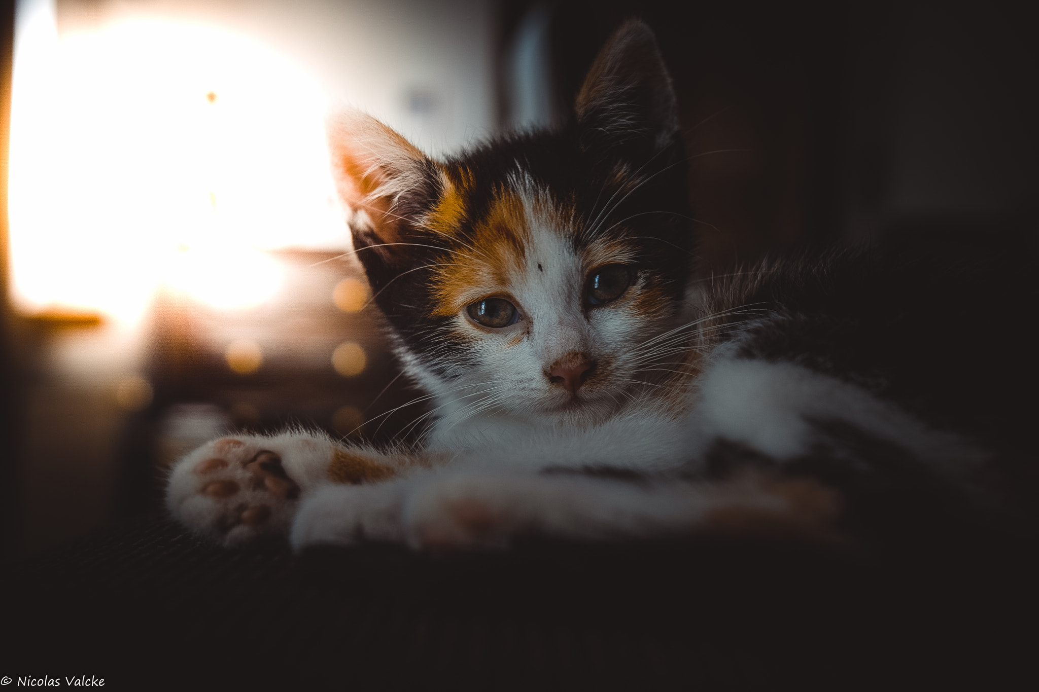 Nikon D3300 + Sigma 18-35mm F1.8 DC HSM Art sample photo. Dsc photography