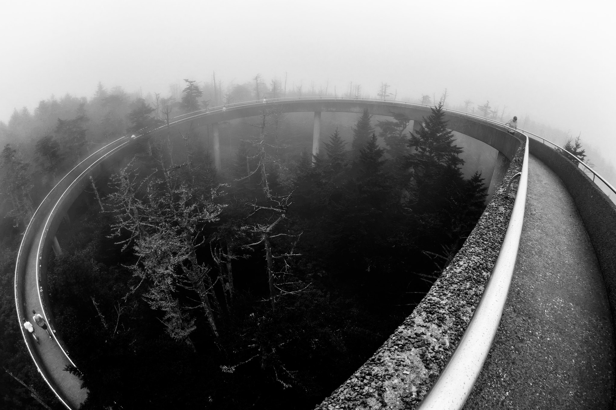 Nikon AF DX Fisheye-Nikkor 10.5mm F2.8G ED sample photo. Path to the top photography
