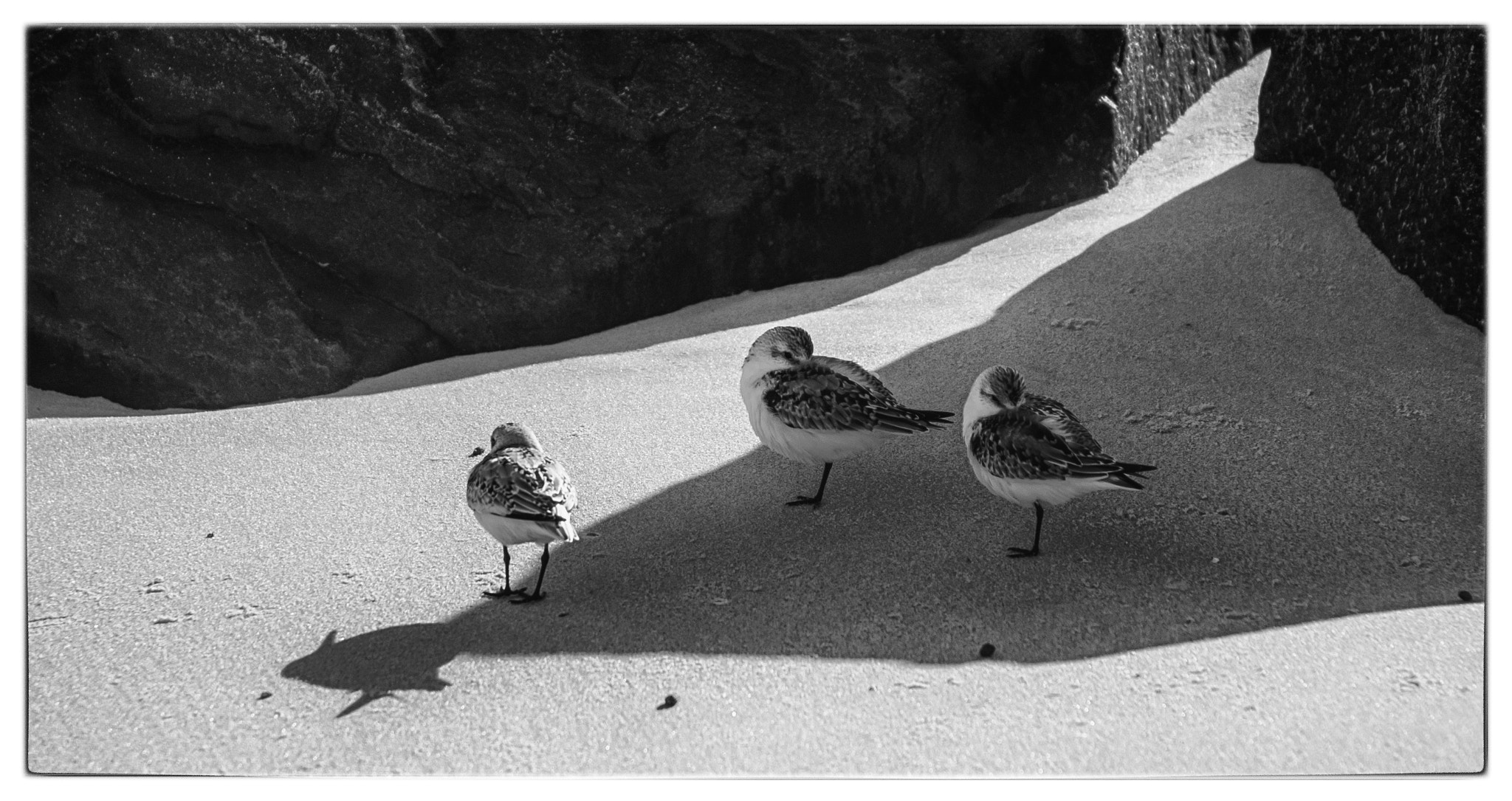KONICA MINOLTA MAXXUM 7D sample photo. Piper at the gates of dawn photography