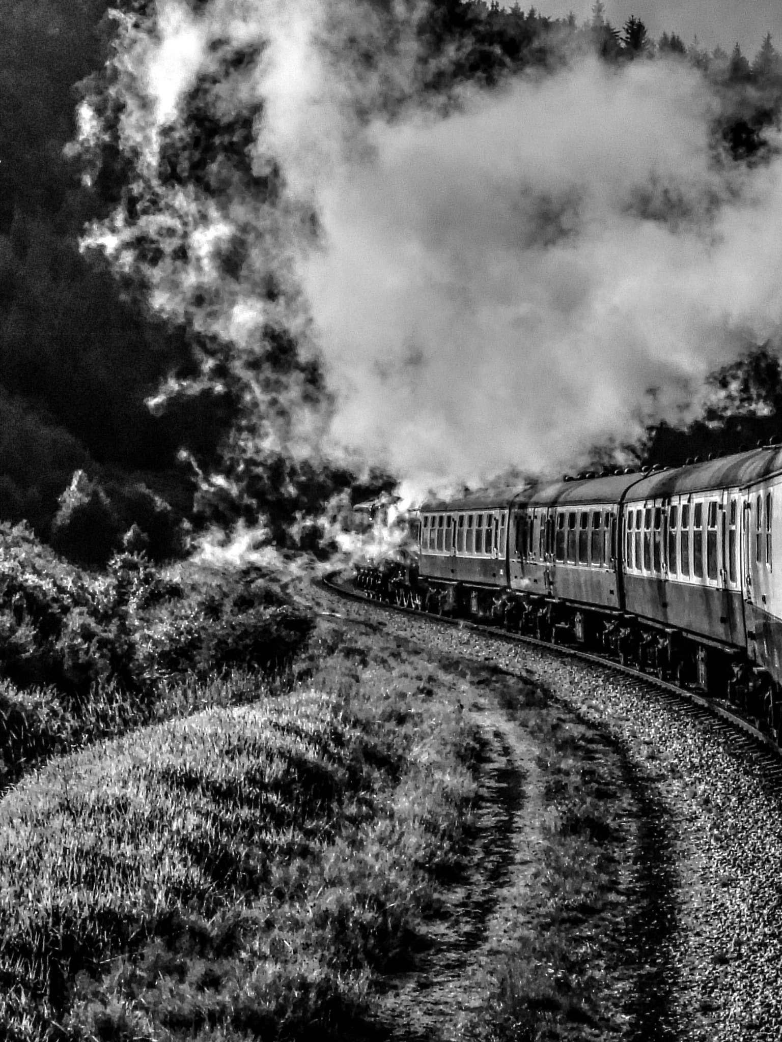 Fujifilm FinePix F401 sample photo. Steam train moving photography