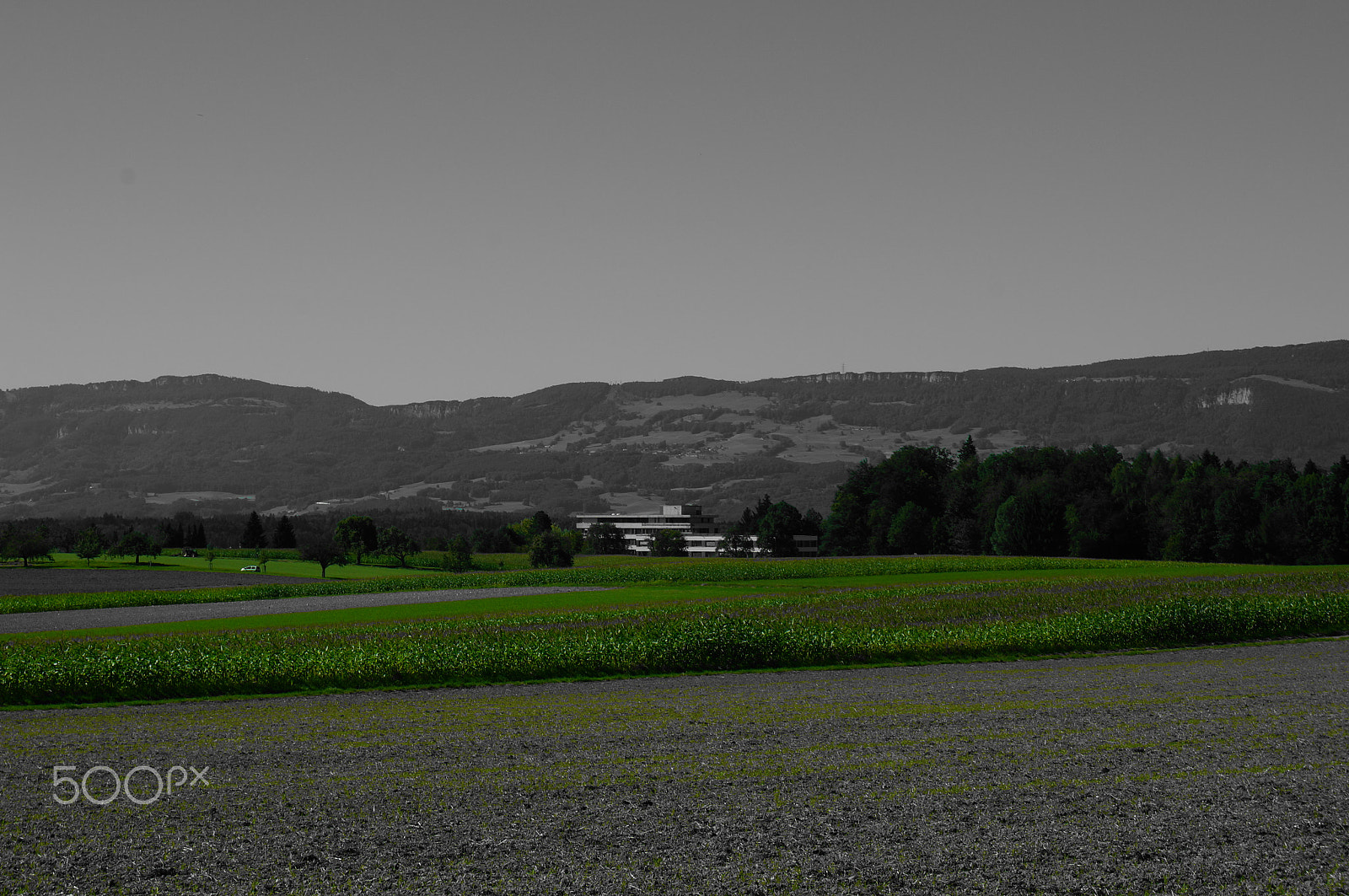 Sony E 18-55mm F3.5-5.6 OSS sample photo. Buchsii photography