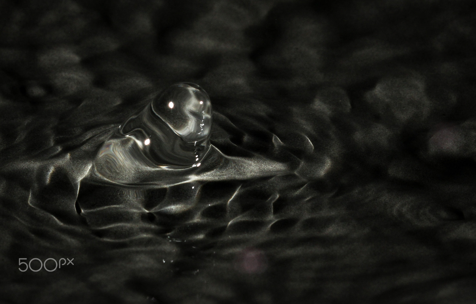 Sigma 105mm F2.8 EX DG OS HSM sample photo. Little buddha photography