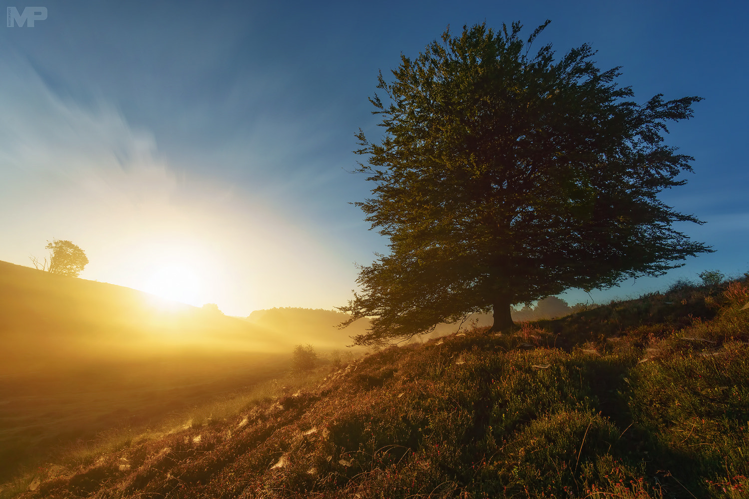 Sony a5100 + Sony E 10-18mm F4 OSS sample photo. Misty sunrise photography