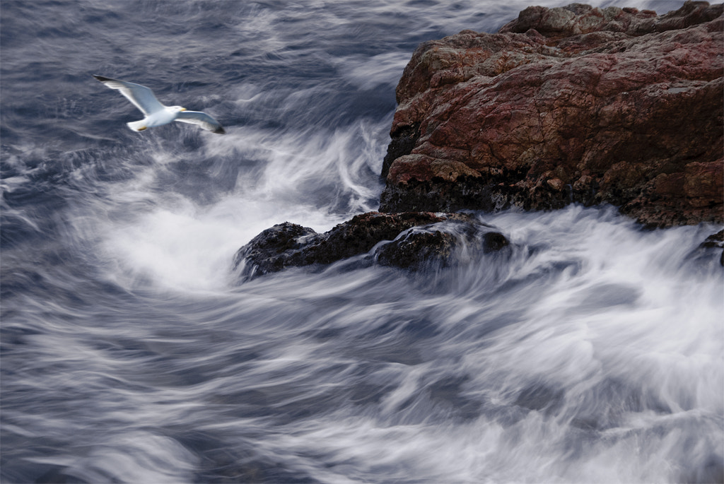 Sigma 18-200mm F3.5-6.3 DC OS HSM sample photo. Temporal a la costa brava photography