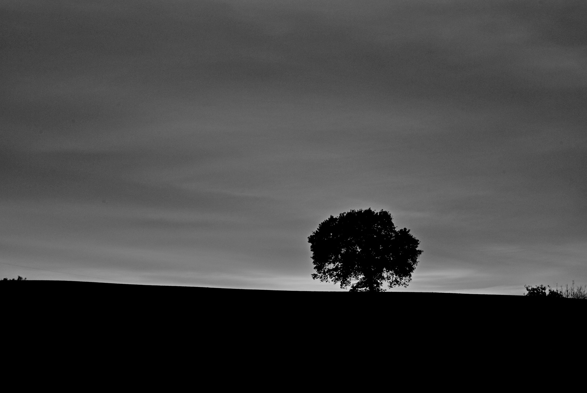 Nikon D80 sample photo. Montegemoli bn #2 photography
