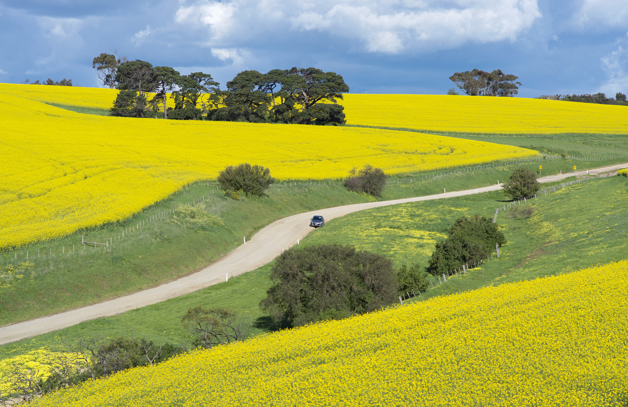 Pentax K-5 II sample photo. Country drives photography