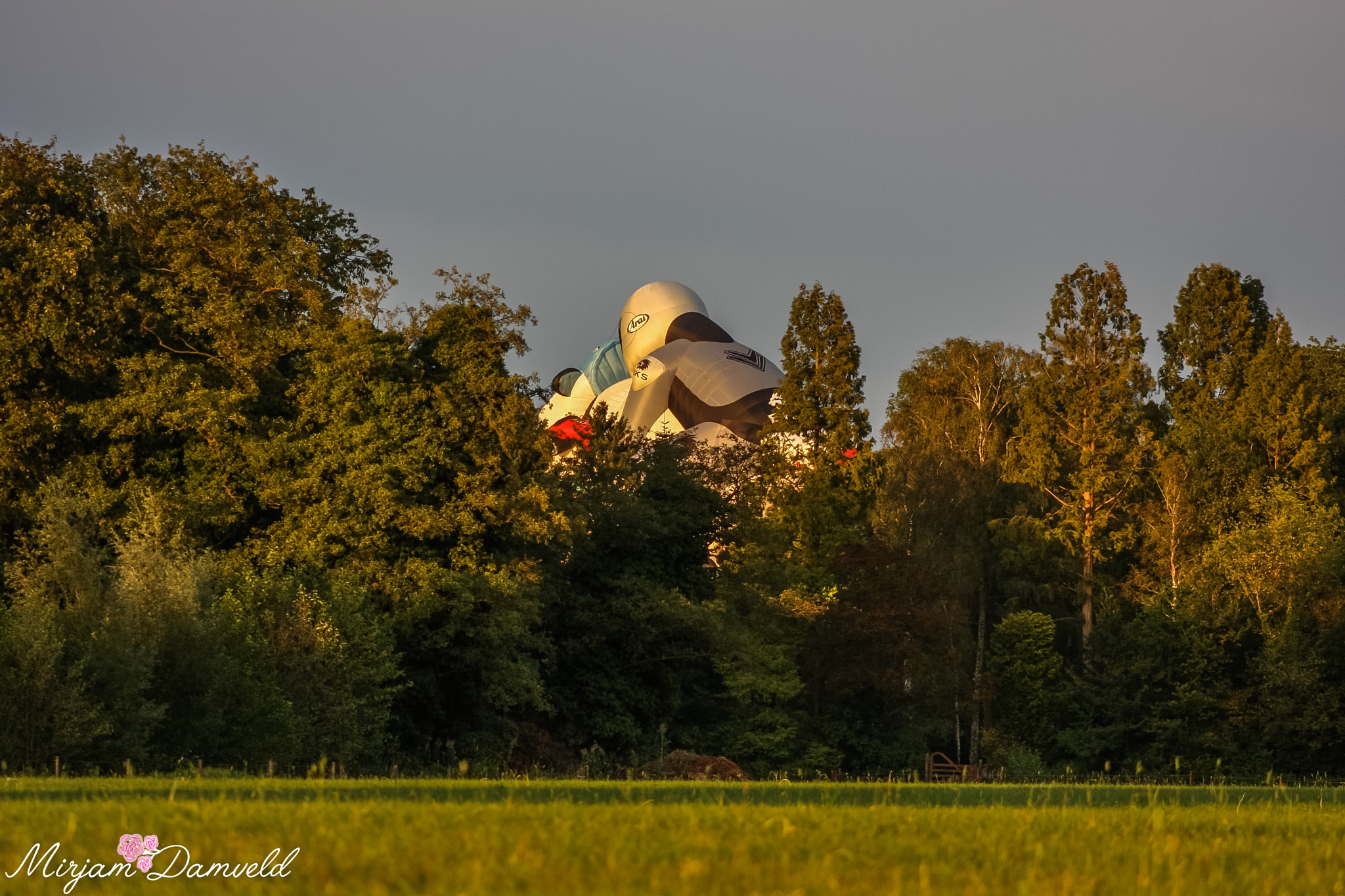 Canon EF 75-300mm f/4-5.6 USM sample photo. Img photography