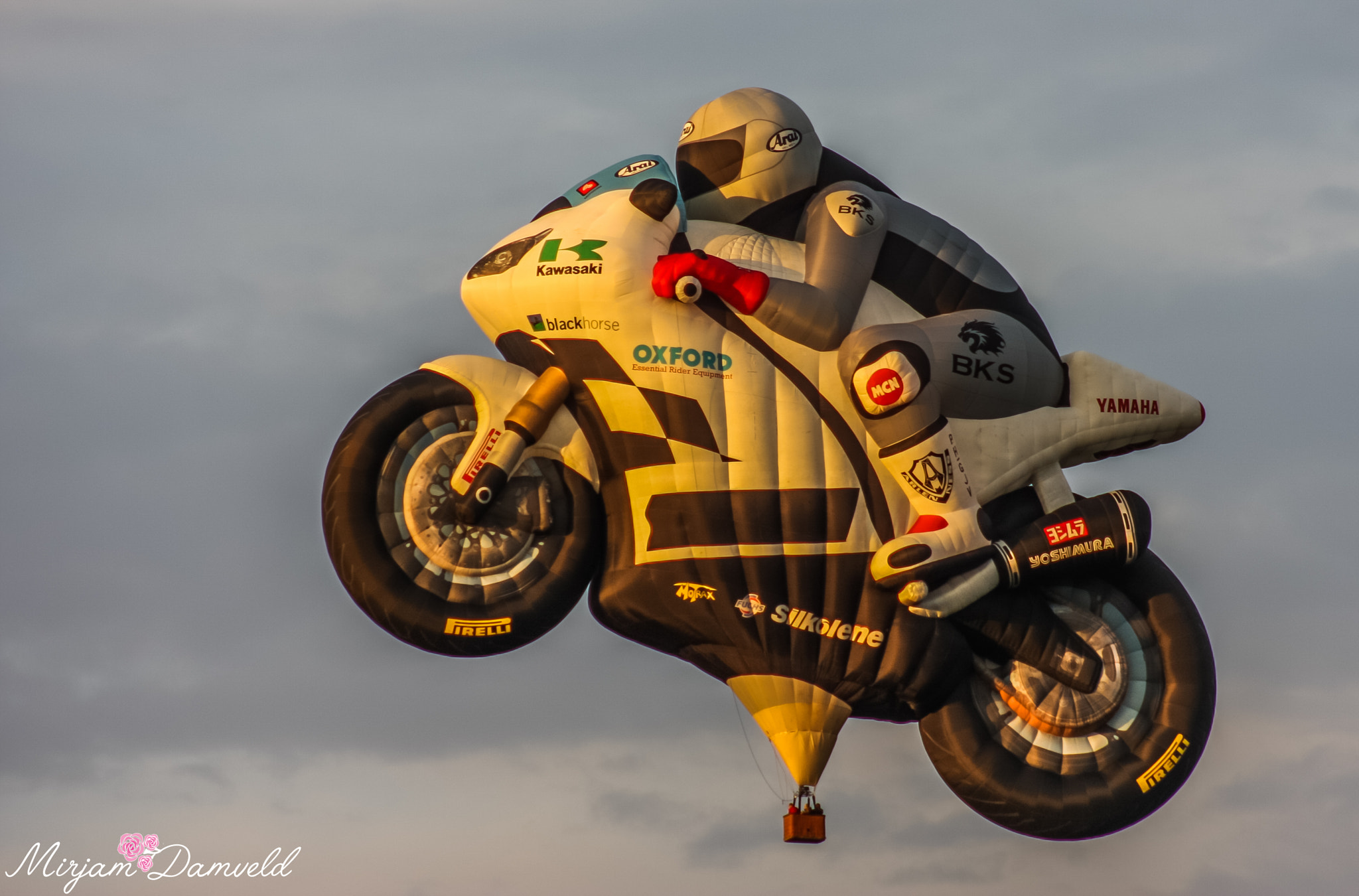 Canon EF 75-300mm f/4-5.6 USM sample photo. The biggest balloon from europa photography